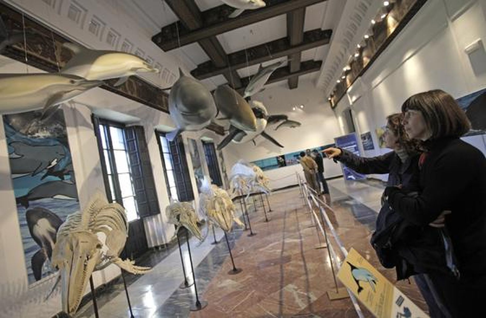 Foto: Antonio Pizarro