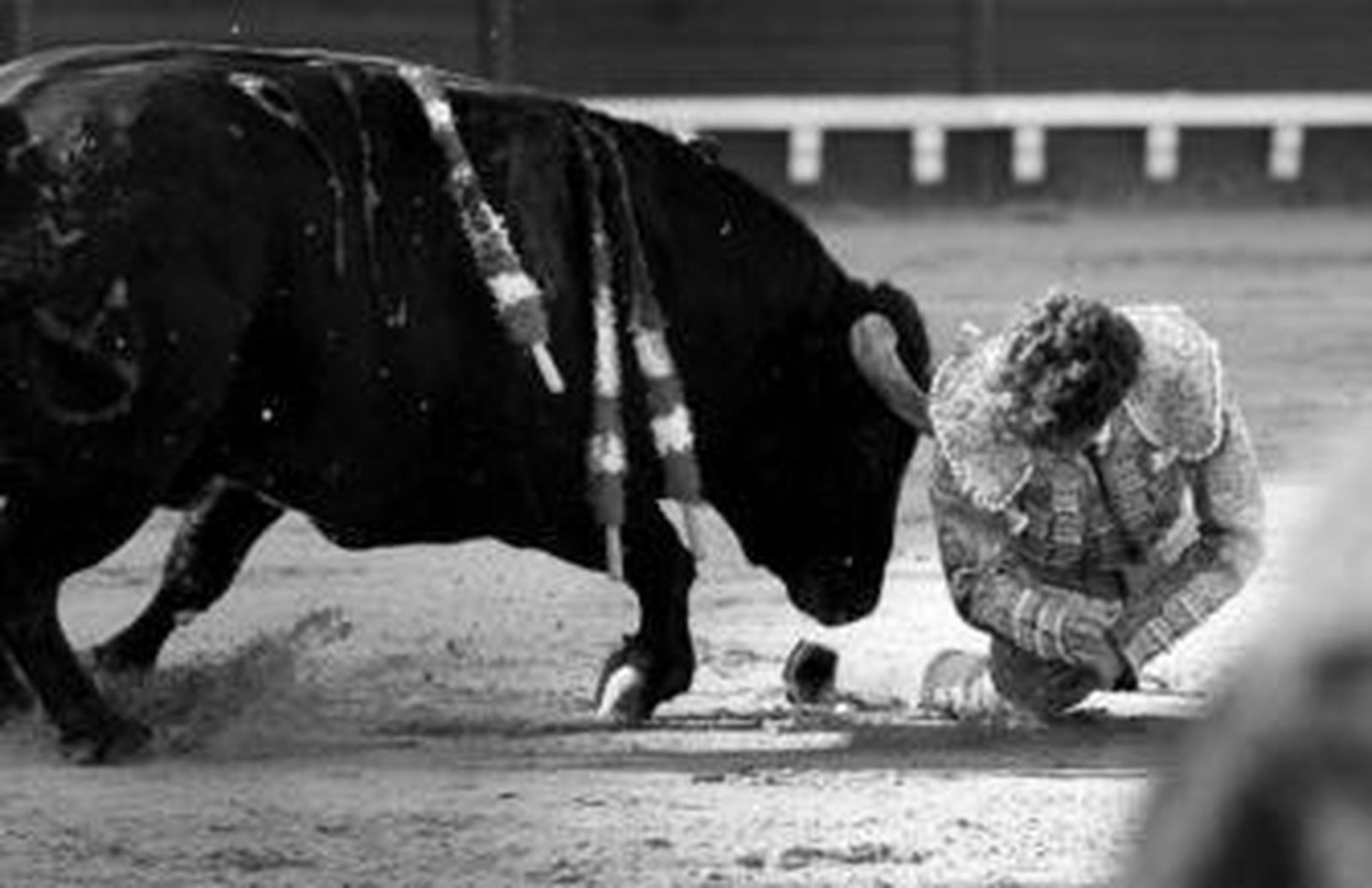 El momento e el que el primero de la suelta hiere en la axila a José Tomás, en la tarde del domingo, en la arena de la Plaza Real.