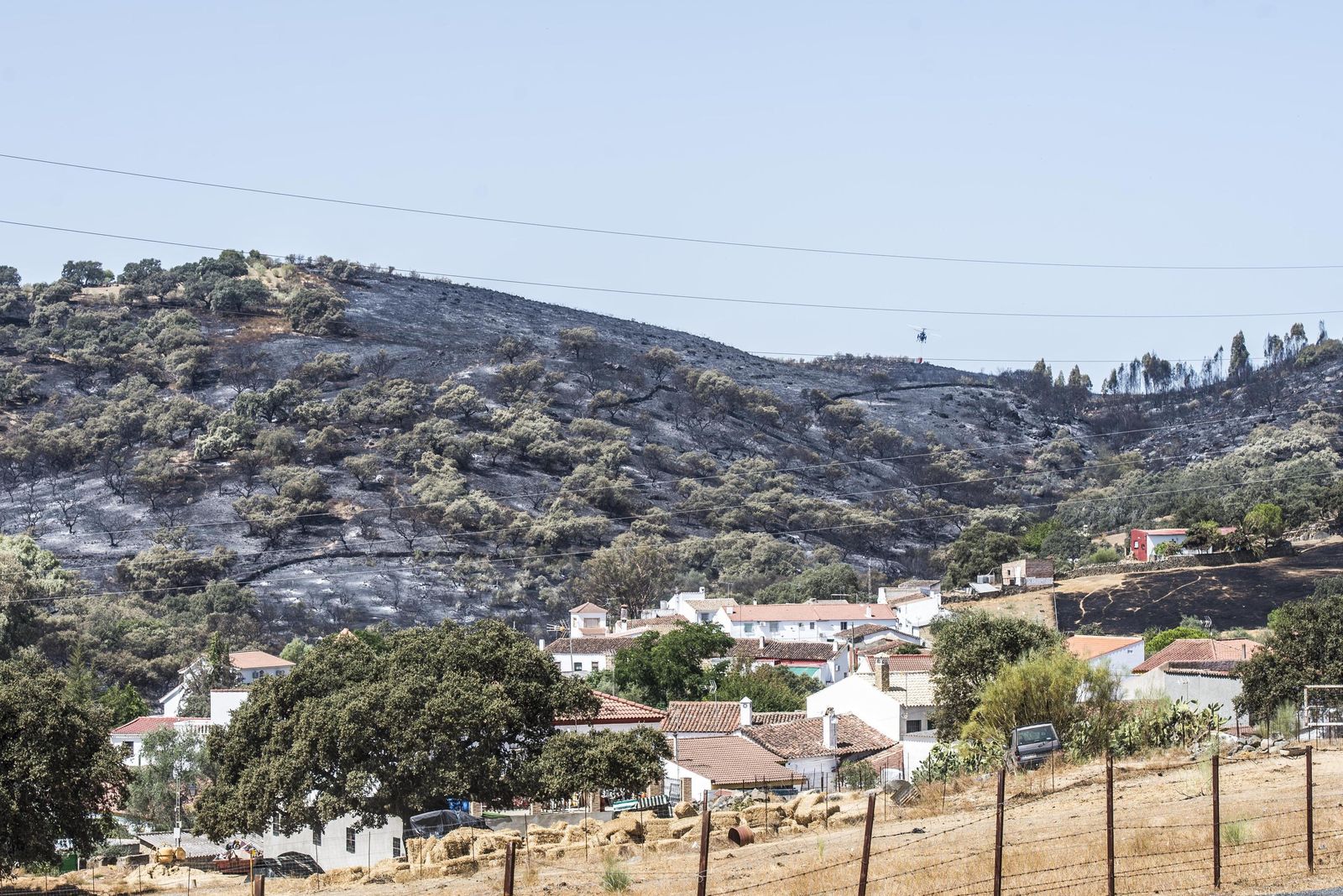 Una vista de la zona calcinada, muy cerca de una zona de viviendas.