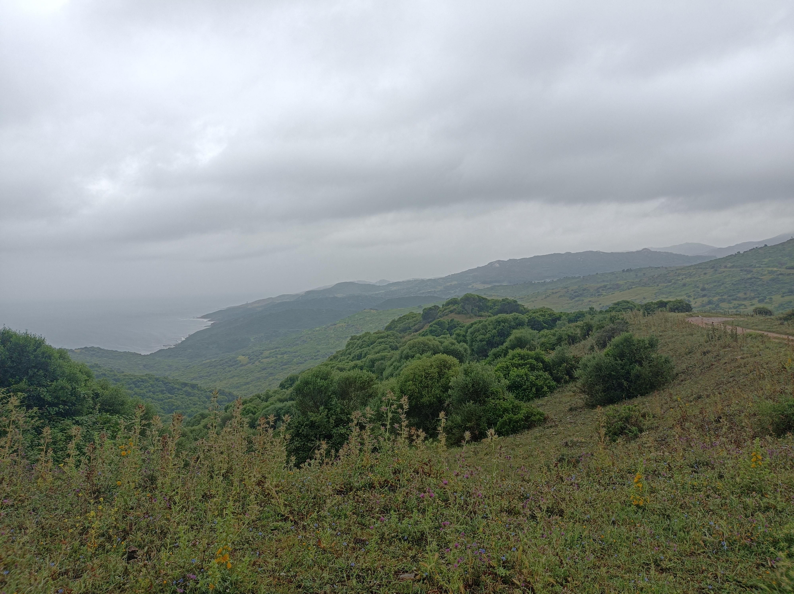 Tras seis kilómetros de larga subida desde Getares, llegamos a la zona más elevada. A la izquierda tendremos unas imponentes panorámicas del Estrecho.