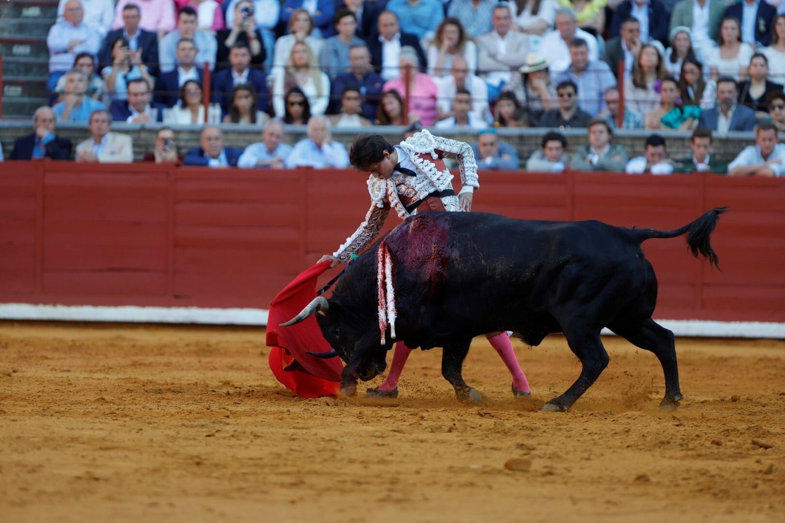 Las mejores fotos de la corrida de Morante, Ortega y Roca Rey en la Feria Taurina de Córdoba