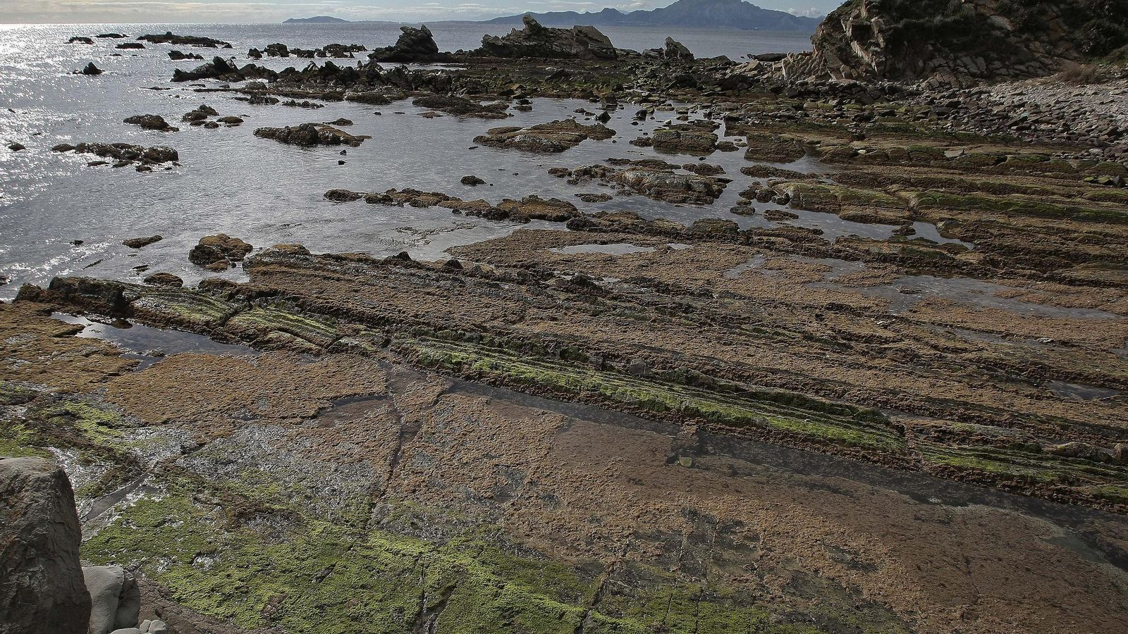 Una de las zonas de muestreo.