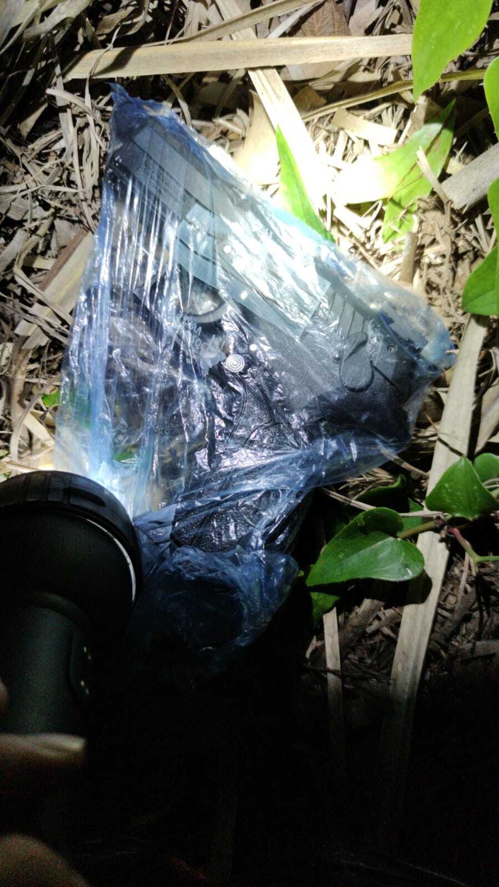 Armas localizadas en un jardín junto a una vivienda