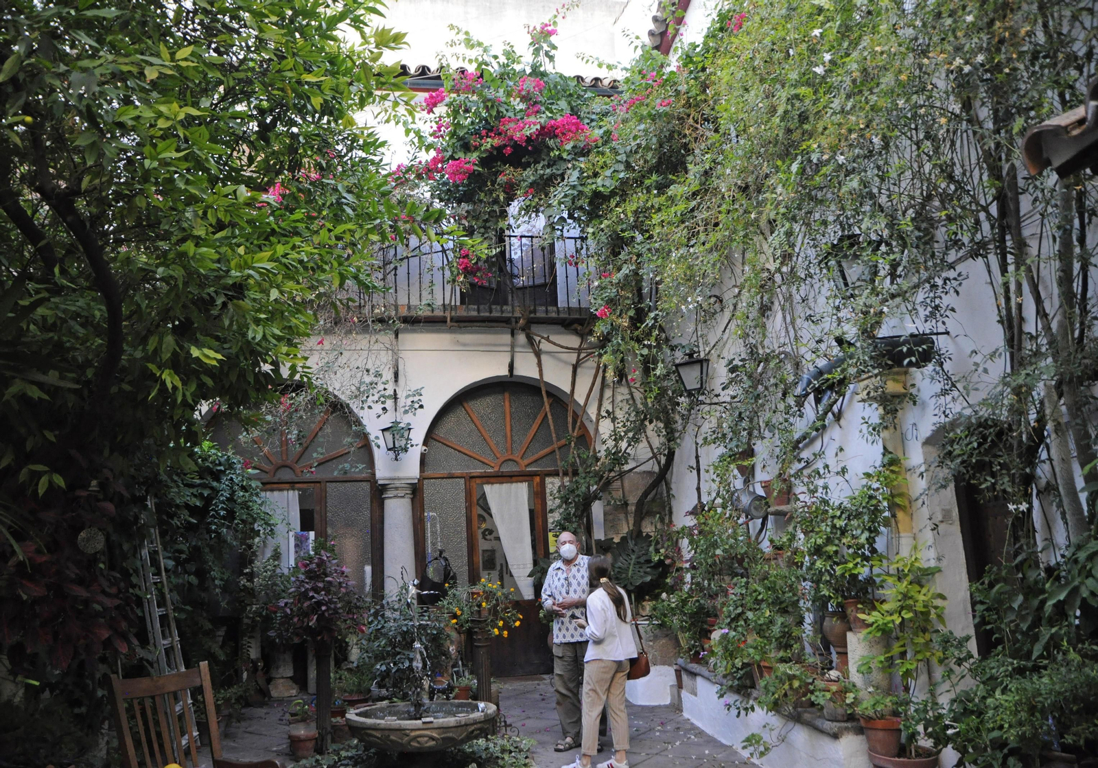 Los Patios de Córdoba se acicalan para su apertura en otoño, en fotografías