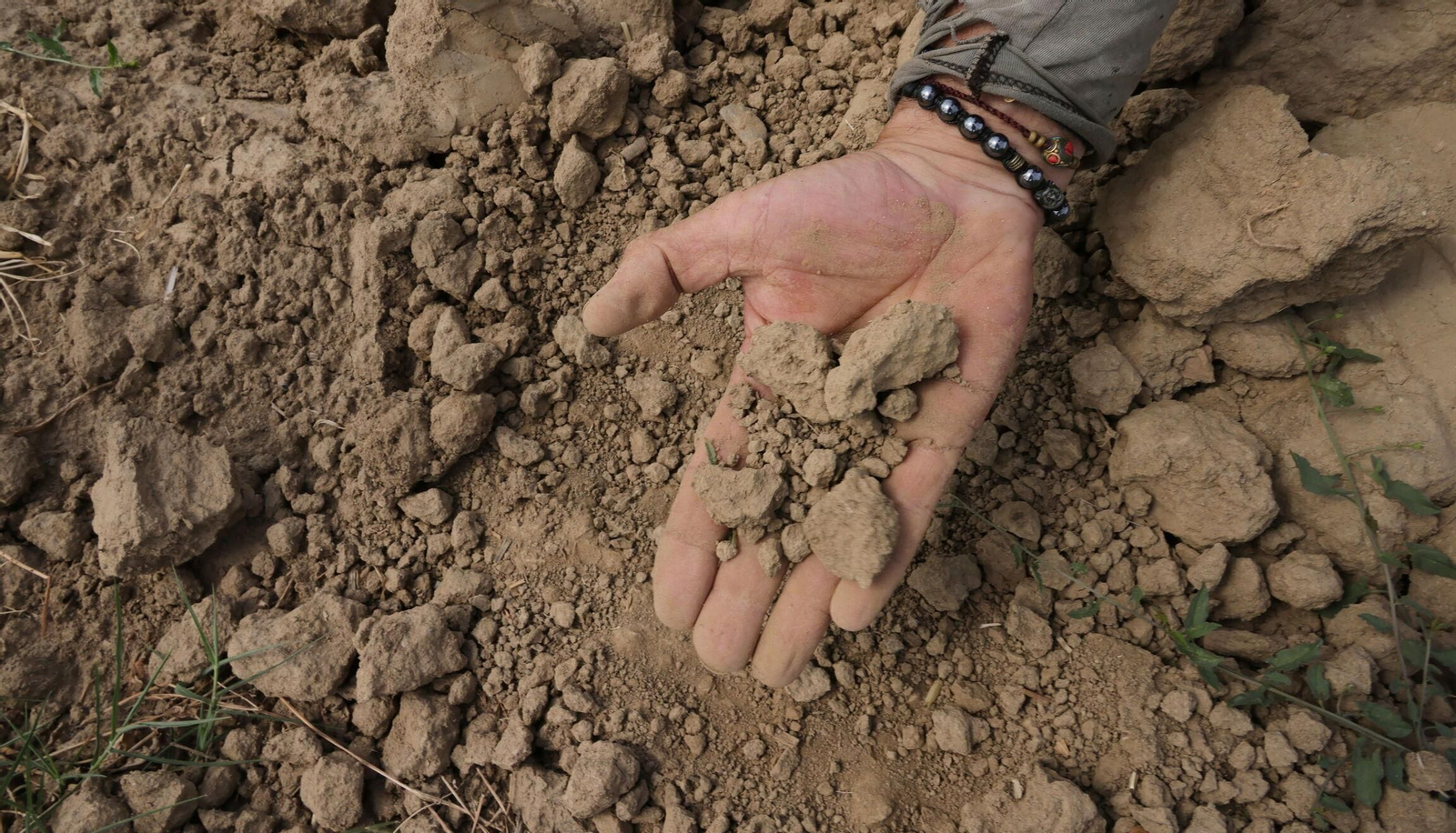 Un agricultor muestra la tierra seca de su cultivo.
