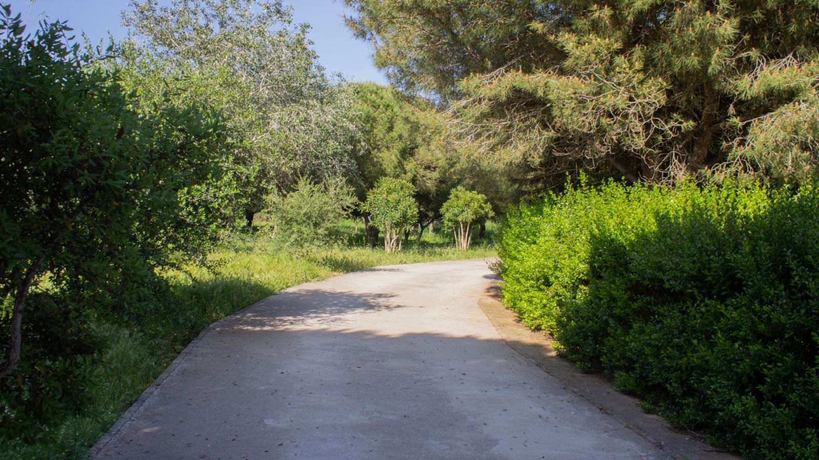 Fotos del parque municipal El Torrejón