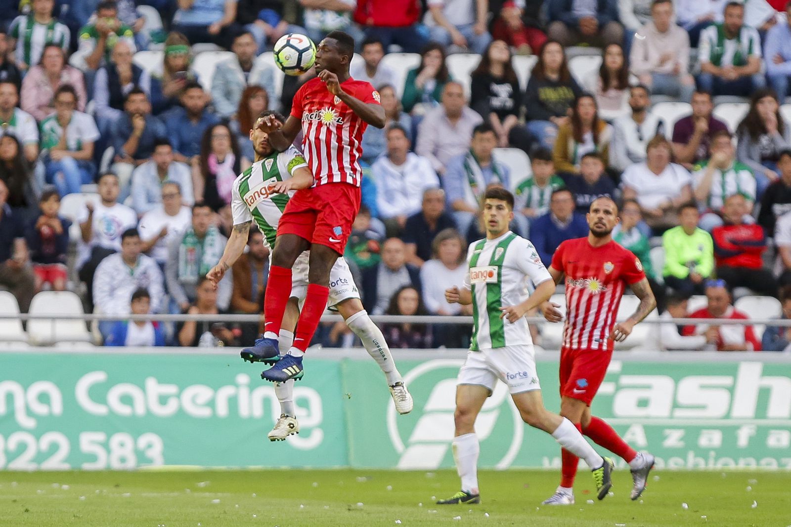Las imágenes del Córdoba-Almería