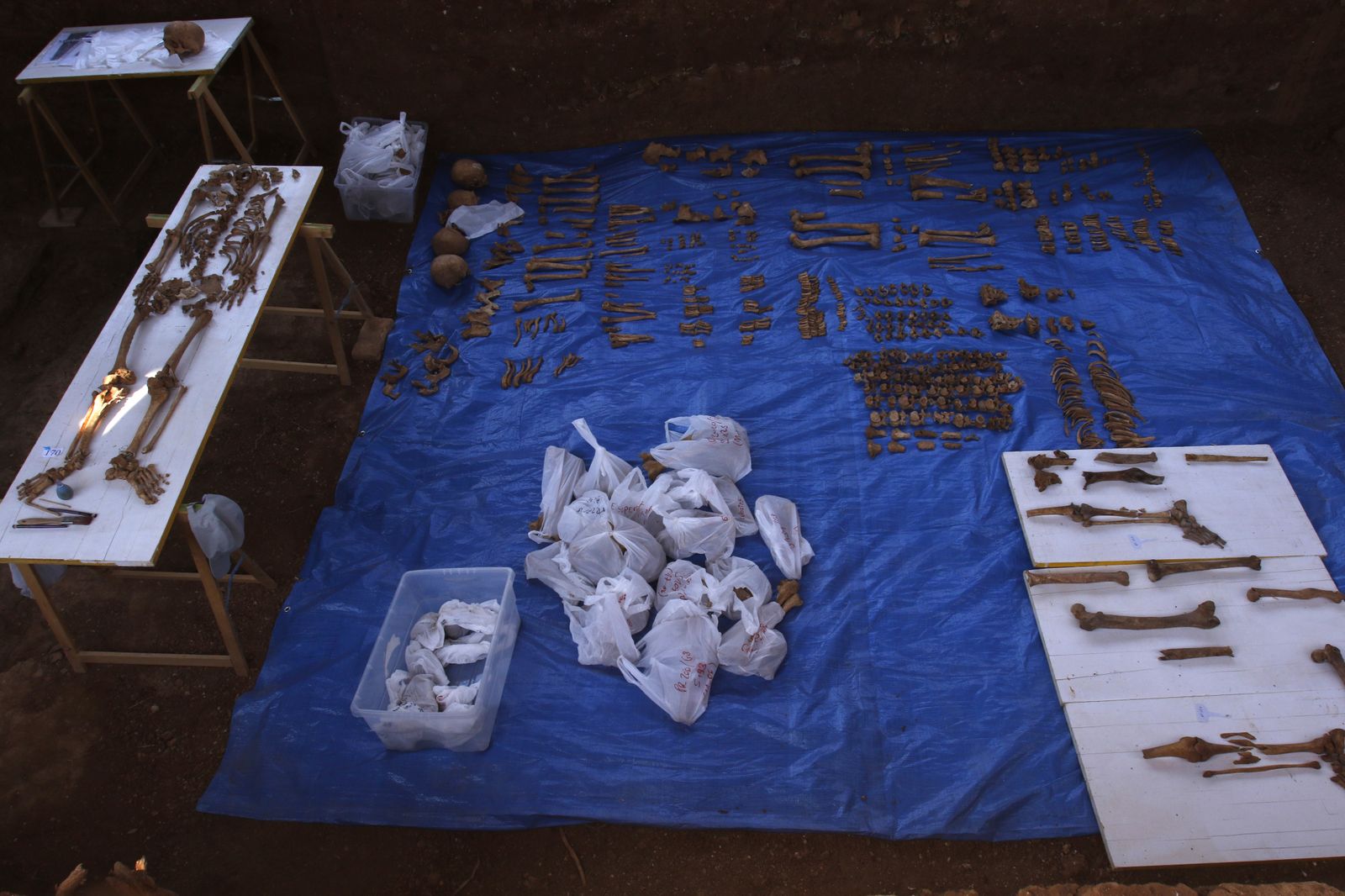 Visita a la fosa de Pico Reja