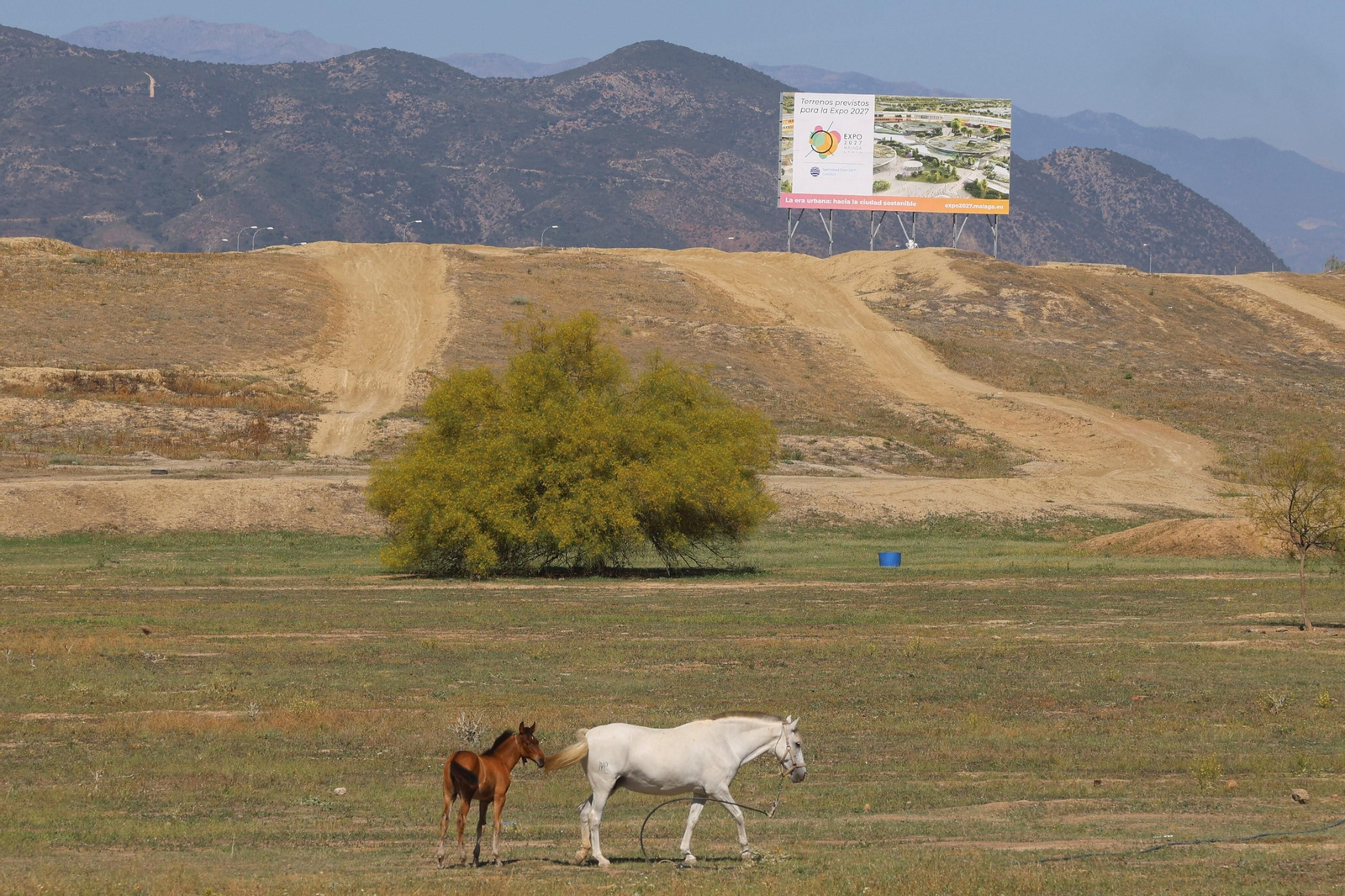 Terrenos reservados para albergar la Expo, con promoción de la candidatura.