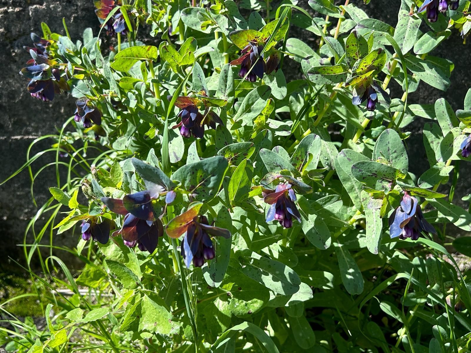 Sendero a las afueras de Jerez imperdible: una venta que da la bienvenida y culmina en una laguna