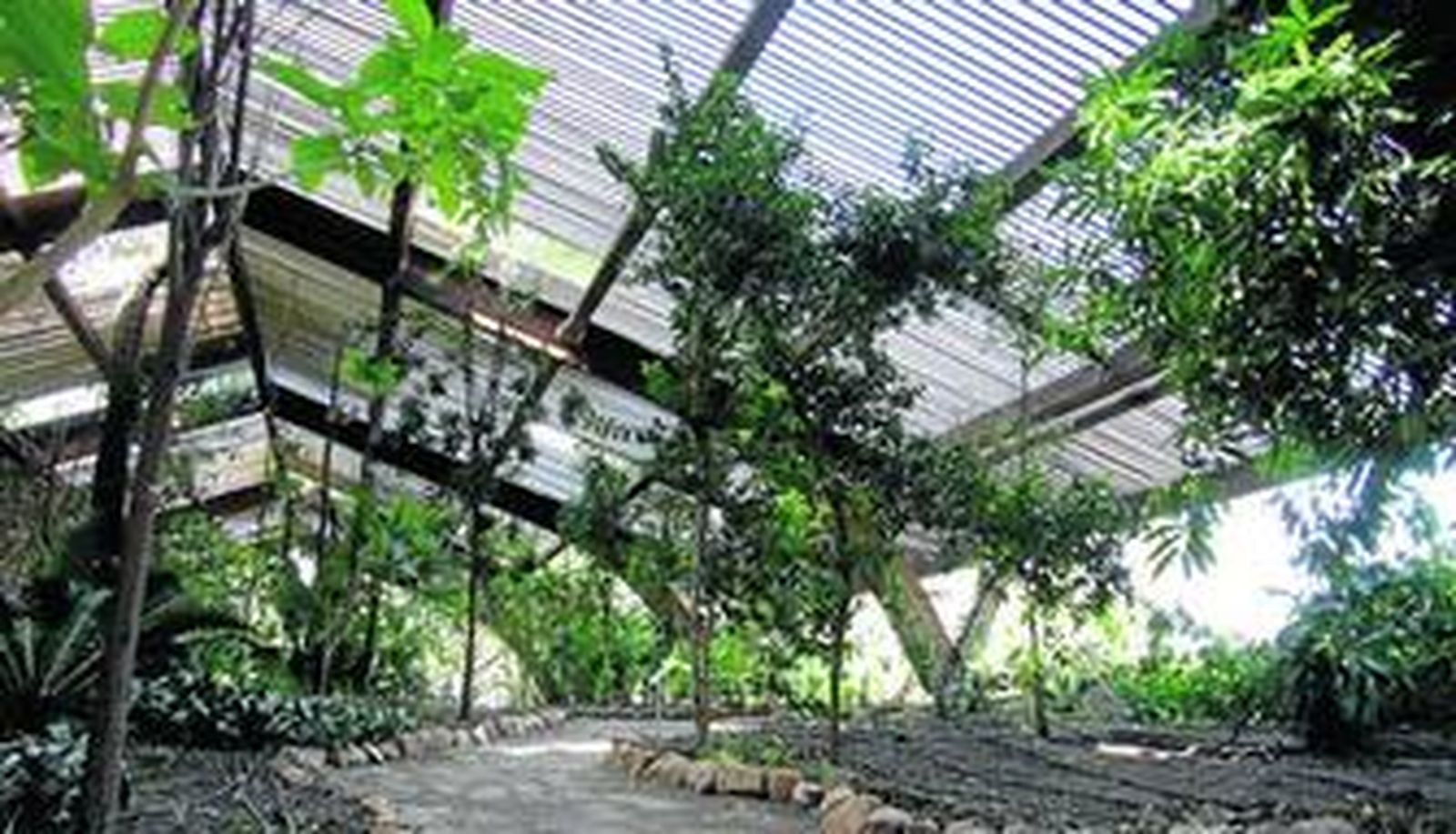 El umbráculo, uno de los espacios en los que está dividido el Jardín Americano y que podrá ser visitado a partir de mañana.