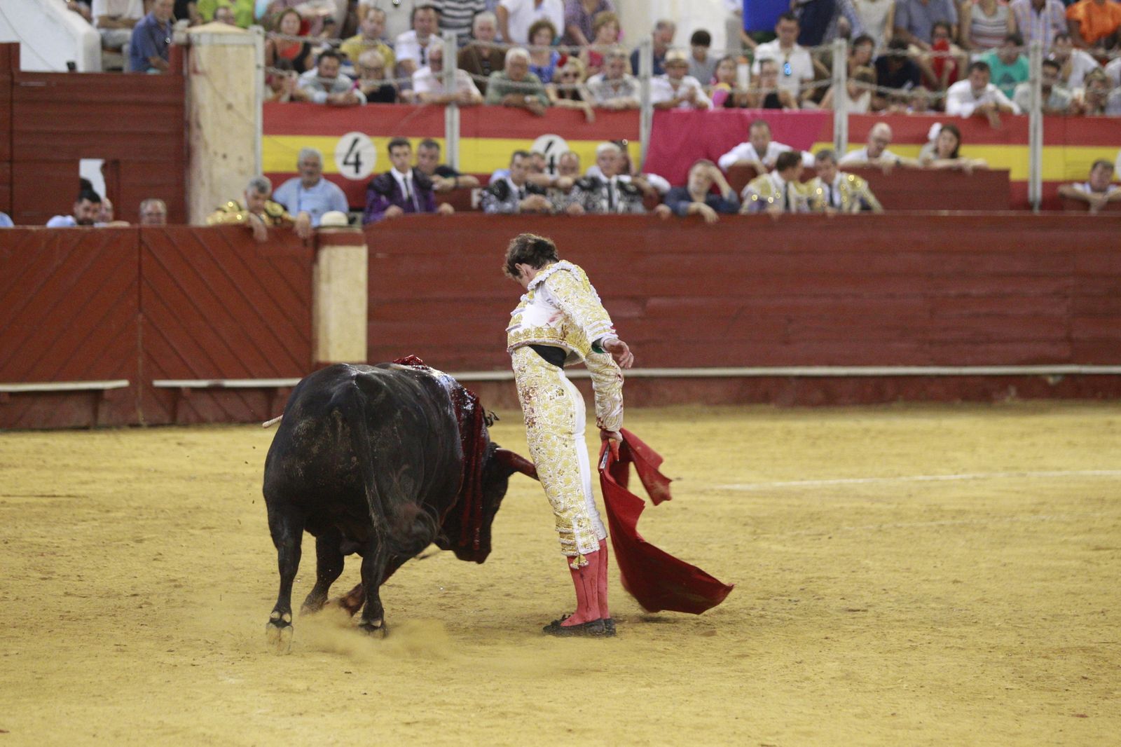 Imágenes del triunfo del torero almeriense Jorge Martínez el día de su alternativa