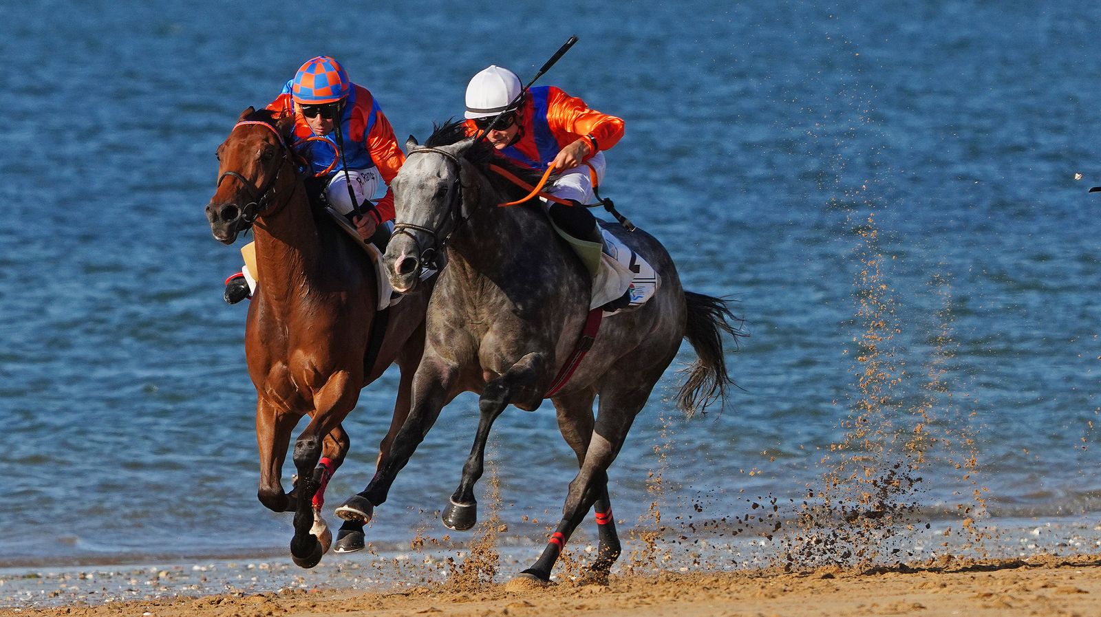 Imágenes del último día de las Carreras de Caballos de Sanlúcar 2022