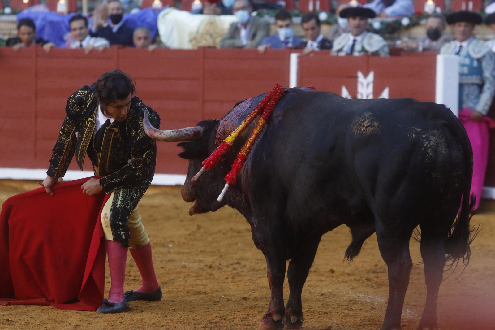Las fotos del mano a mano de Morante y Juan Ortega en Córdoba