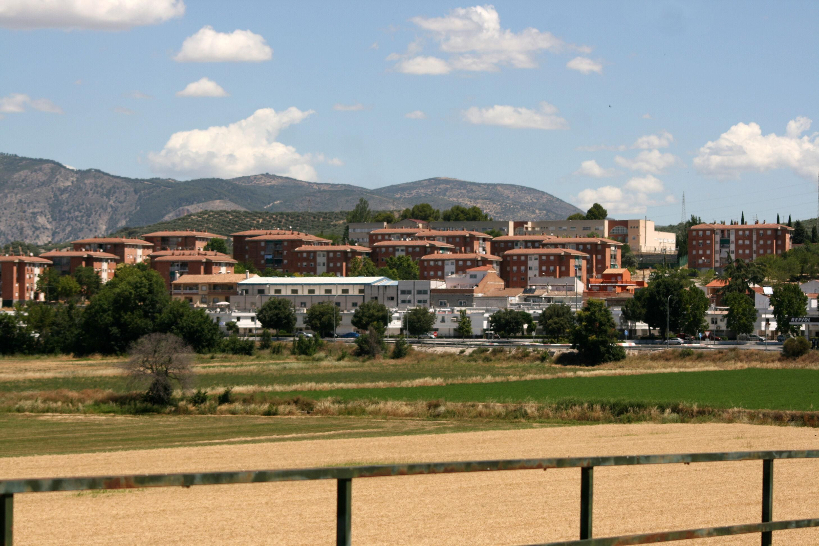 Pinos Puente tiene la tasa de incidencia más alta de la provincia con 687 casos