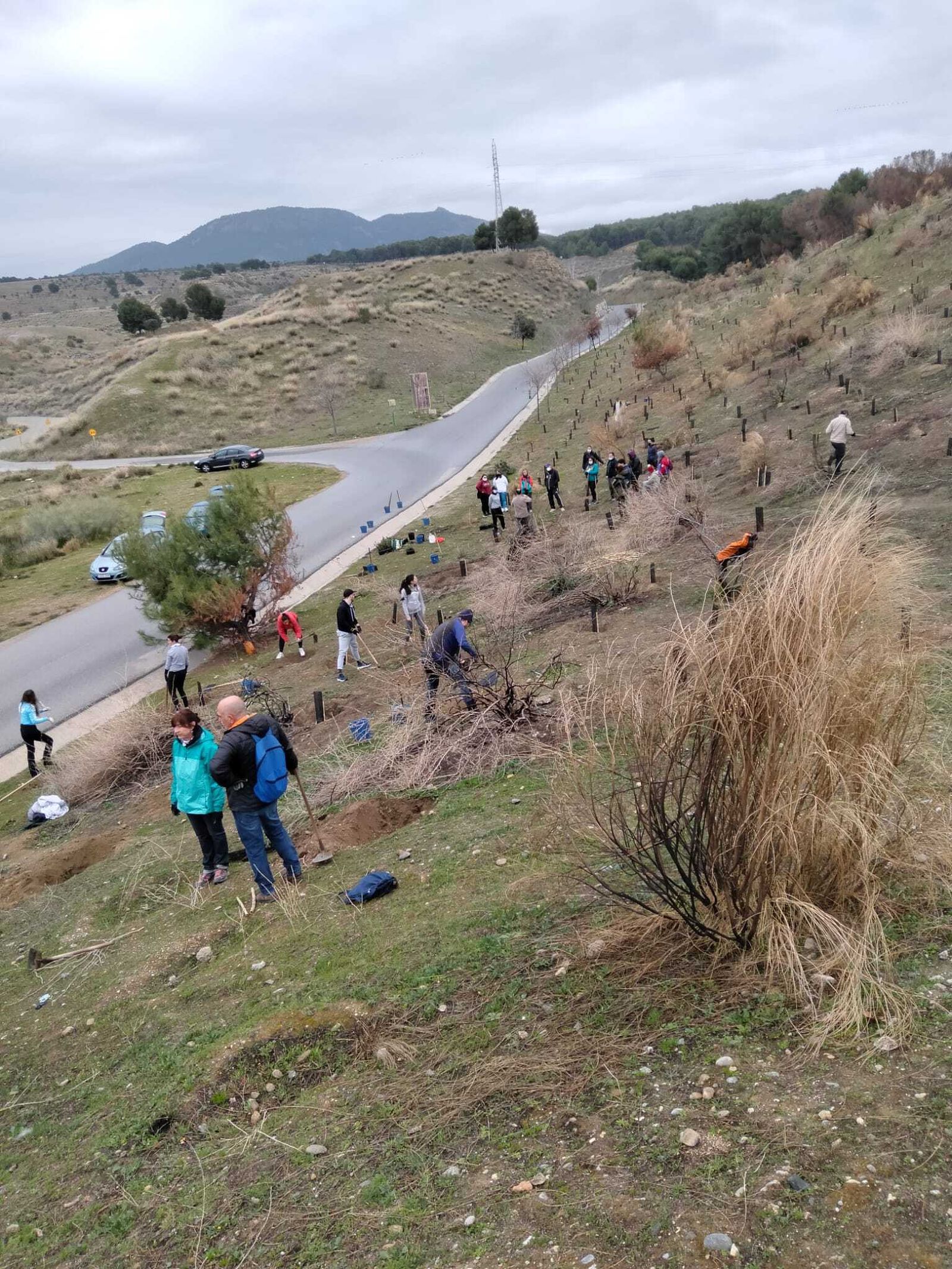 Vecinos de La Zubia en la reforestación.