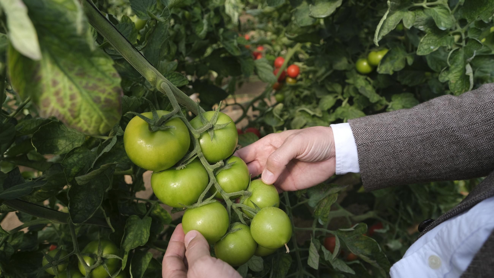 50 años de la Estación Experimental Cajamar-Las Palmerillas, en fotos