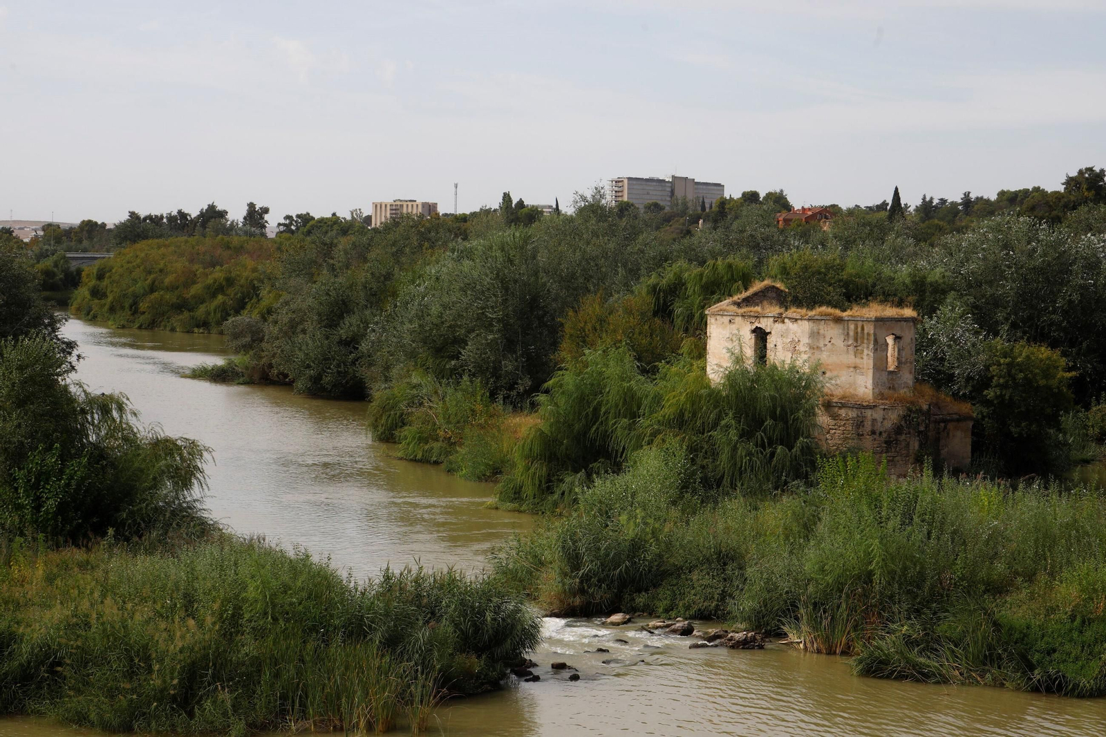 Las imágenes de los Molinos de Córdoba en el río Guadalquivir