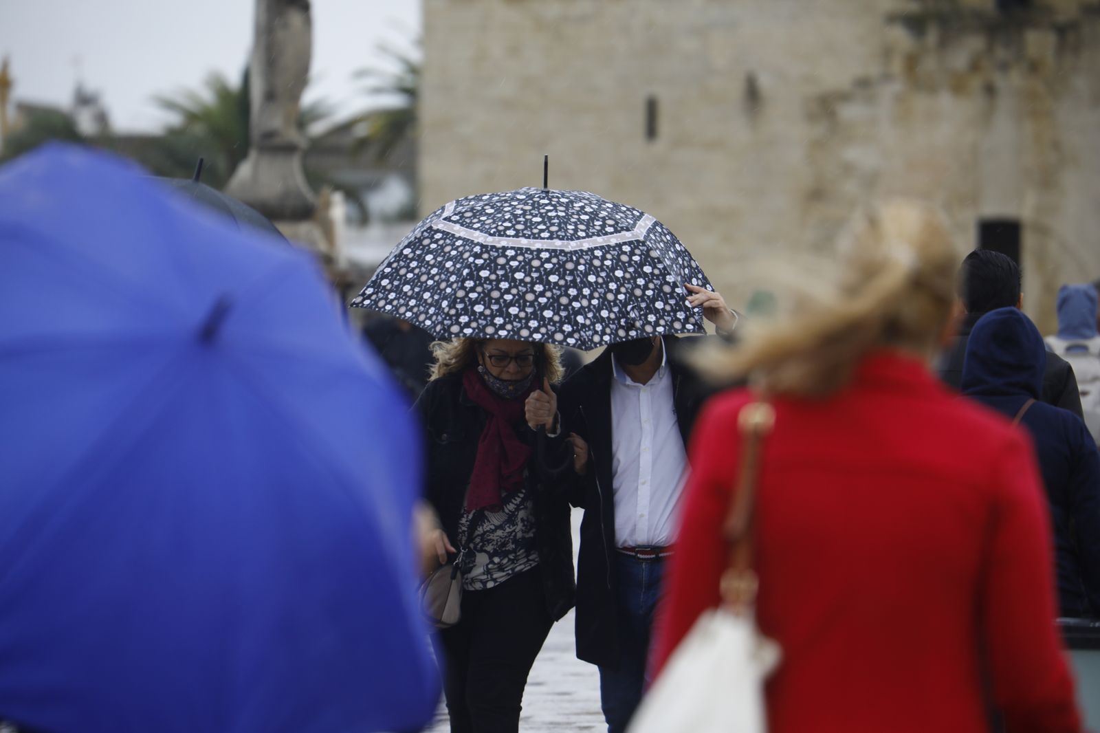 Las fotografías del regreso de la lluvia a Córdoba en pleno puente de Todos los Santos
