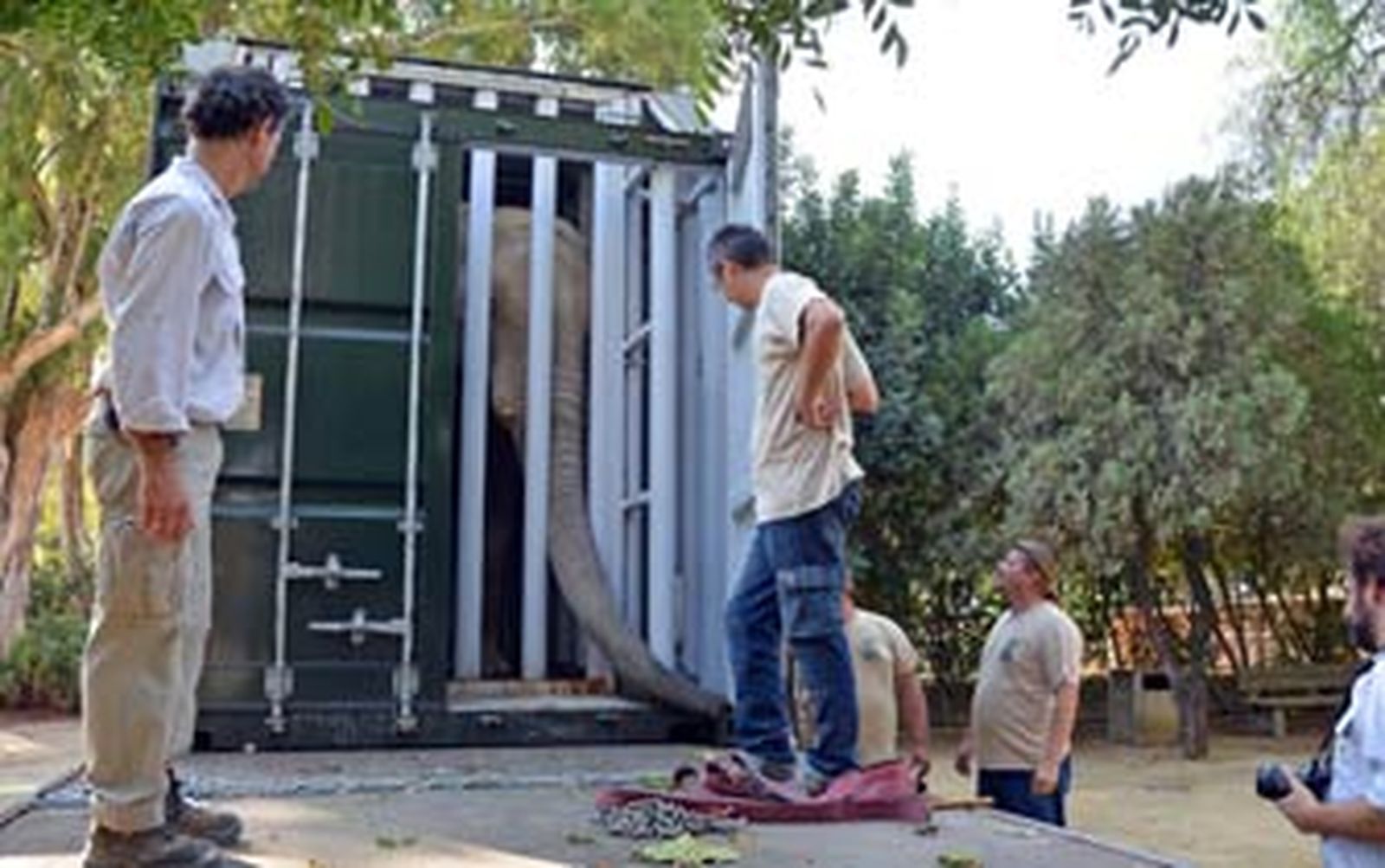 Buba ya viaja camino de su nuevo hogar en un zoológico de Hungría