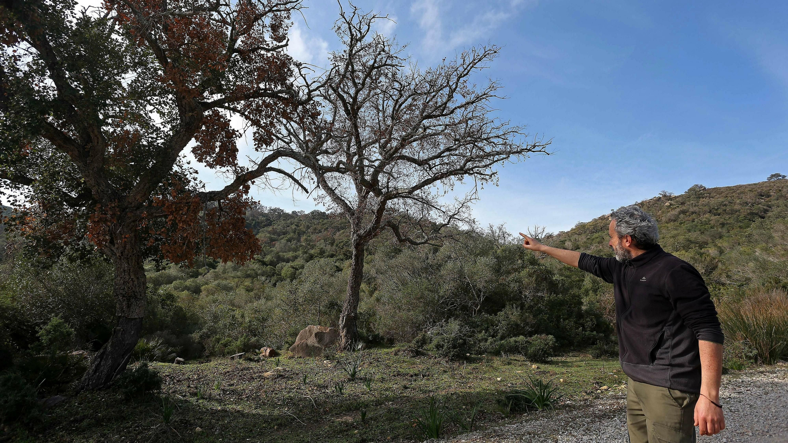Las mejores fotos de la finca La Almoraima