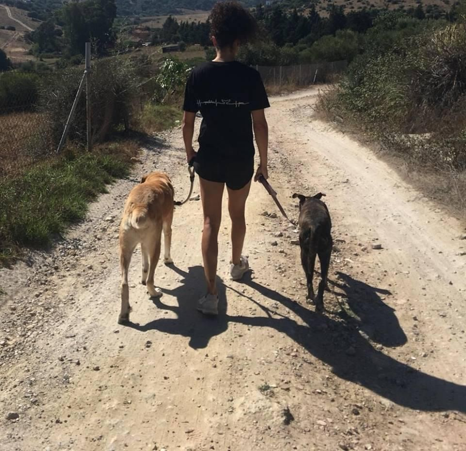 Una voluntaria pasea dos perros de la protectora Pulgosas