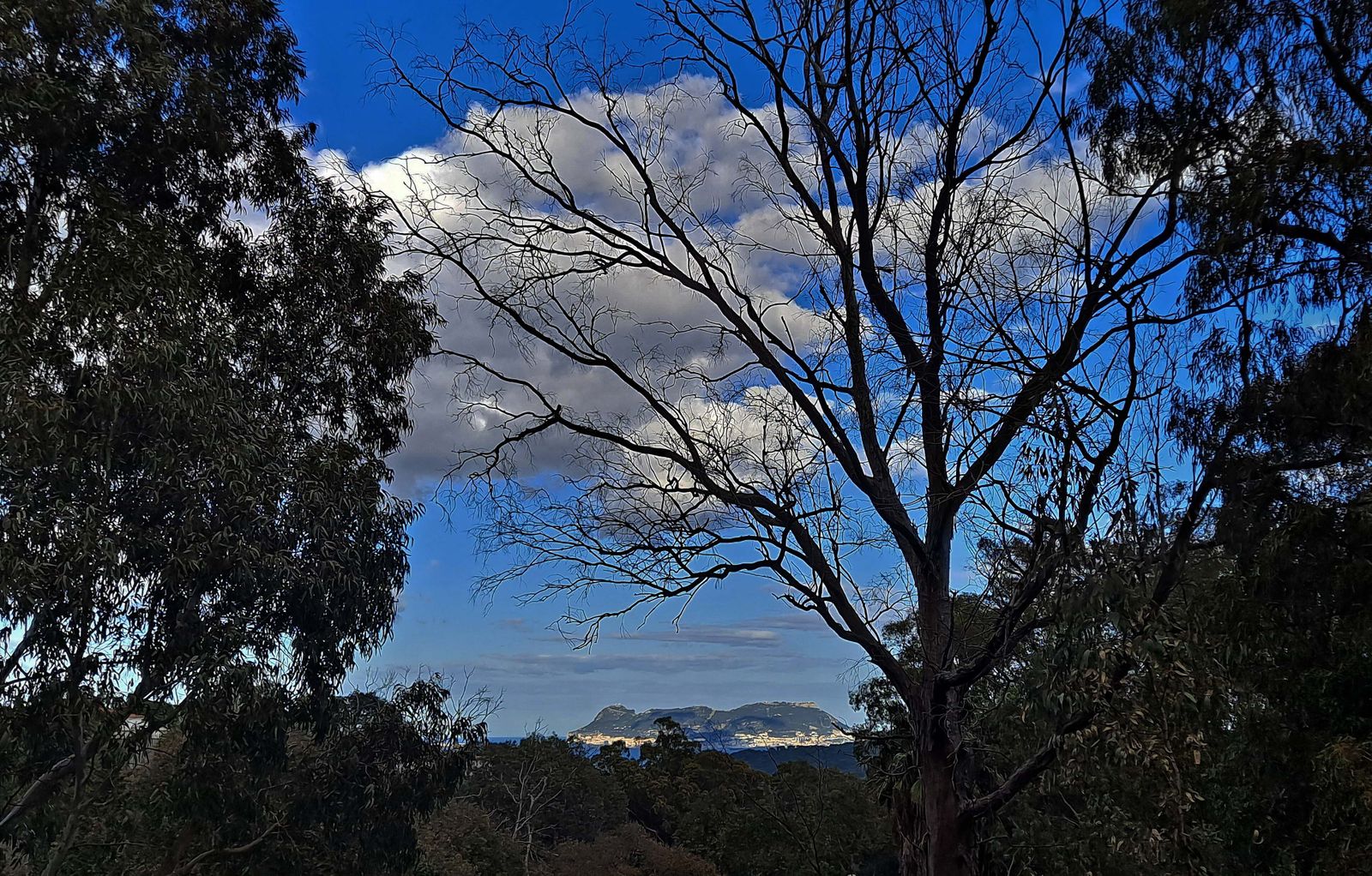 Vistas desde el sendero de la Garganta de Marchenilla, en Algeciras.