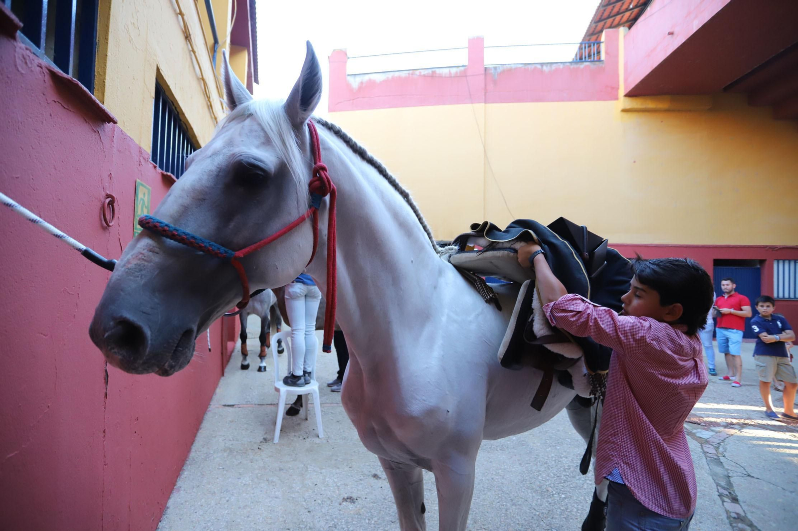 Imágenes de la clase de rejoneo de Andrés Romero en la Plaza de Toros