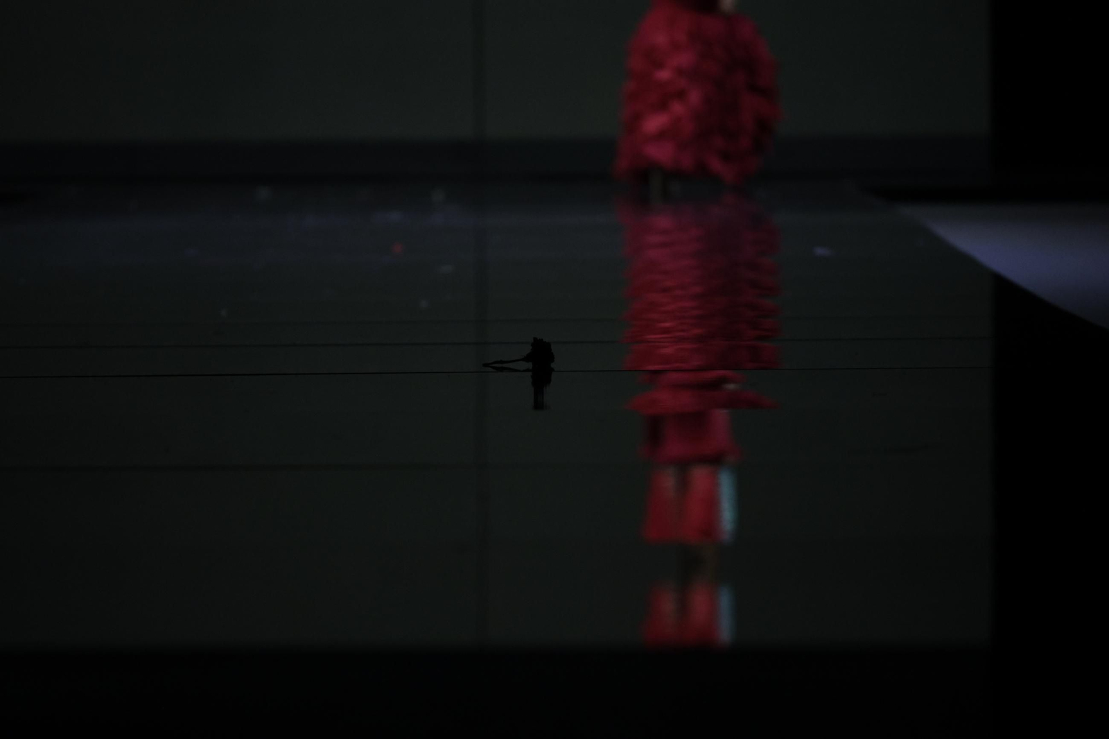 El desfile de Pilar Vera en SIMOF 2025, todas las fotos