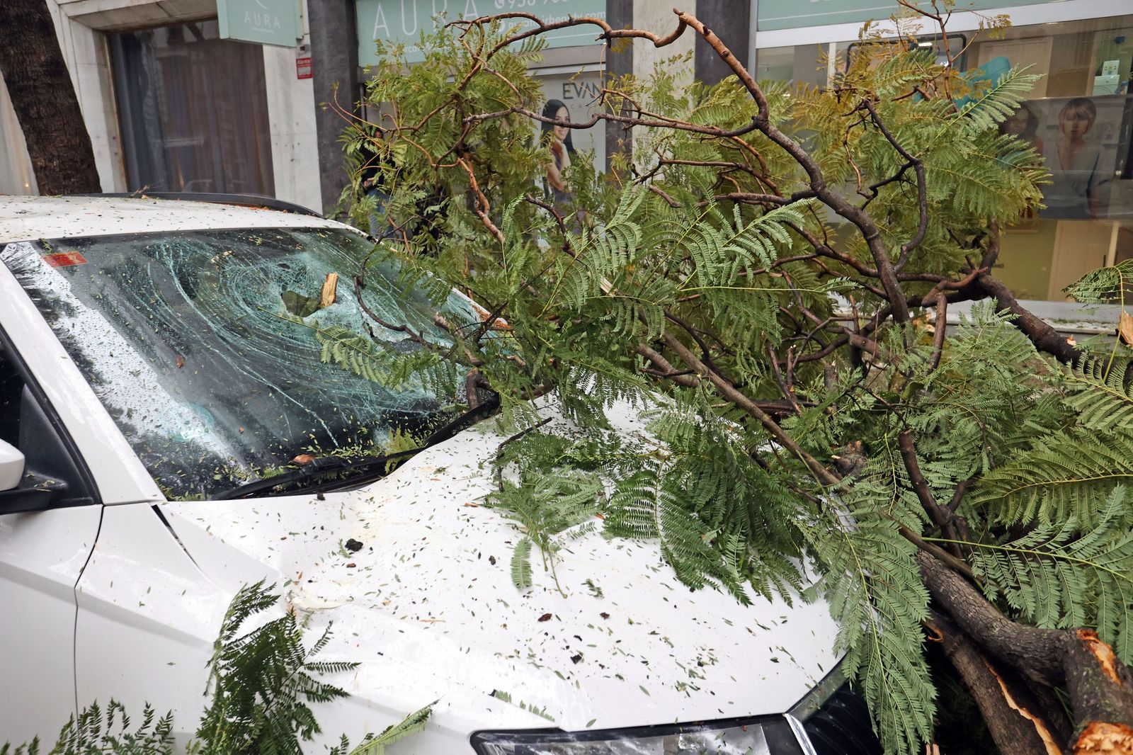 Imágenes del paso de la borrasca Kristin por el centro de Jerez