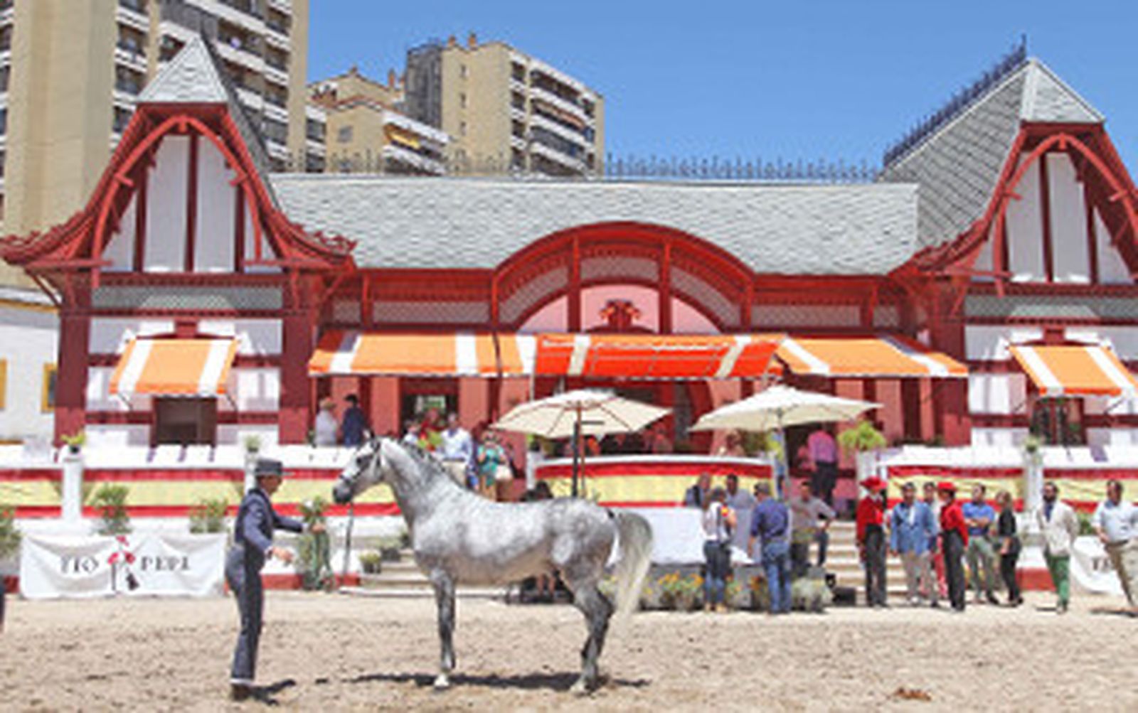 El hispanoárabe 'Iluso' se erige en el 'Campeón de campeones'