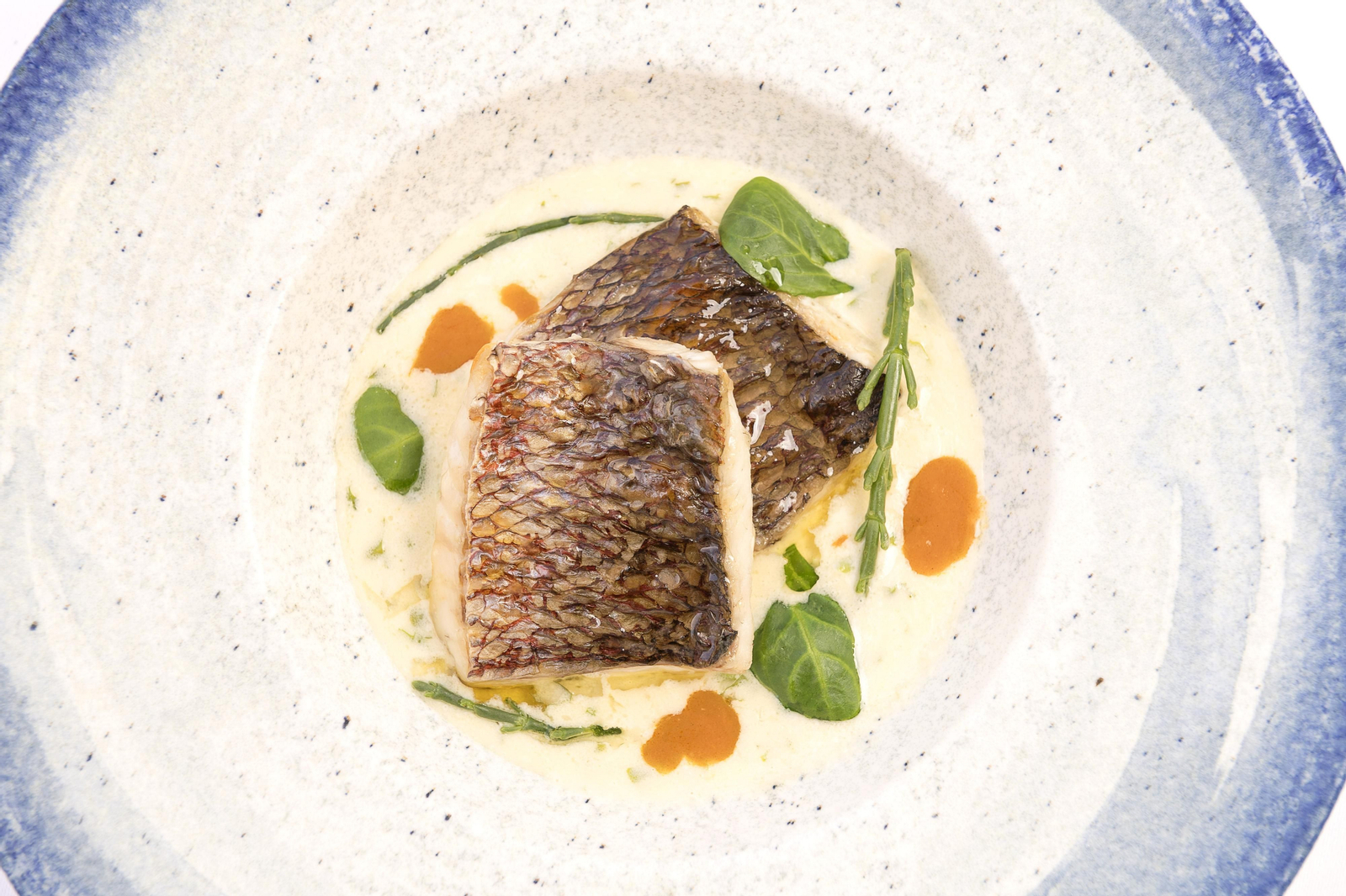 Pargo al horno con mantequilla, espárragos de mar y germinados de crisantemos