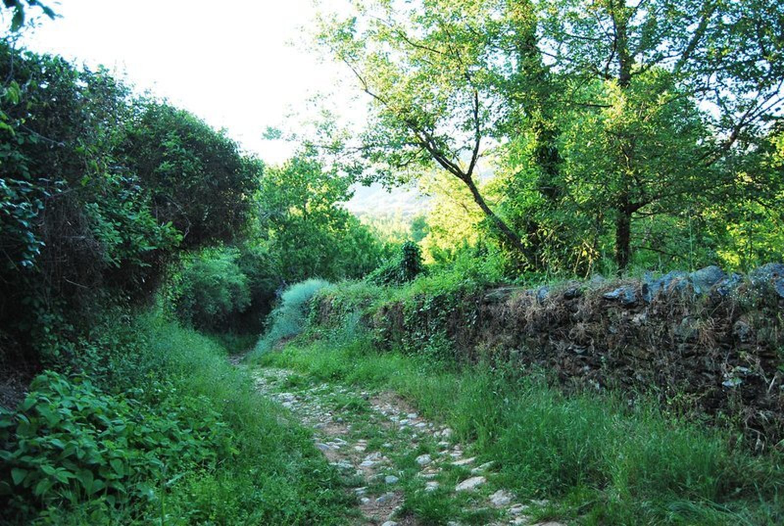 Sendero Jabuguillo - Carboneras - PR-A 40