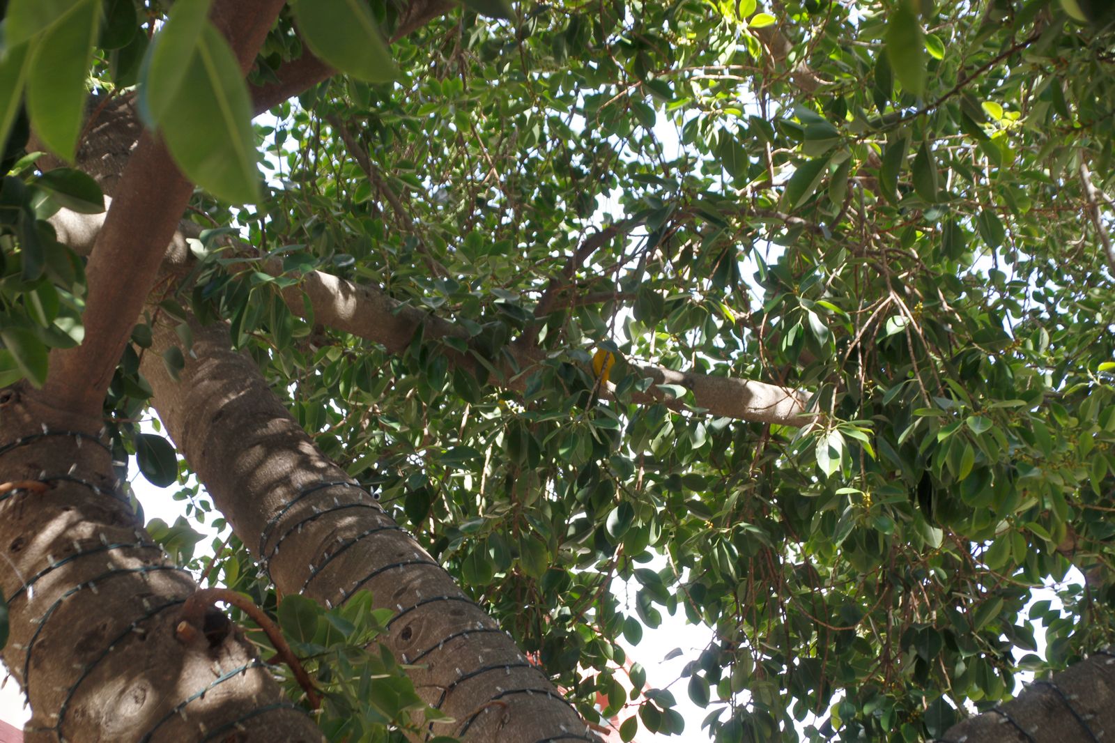 Las imágenes más destacadas del miércoles 18 de octubre en Huelva