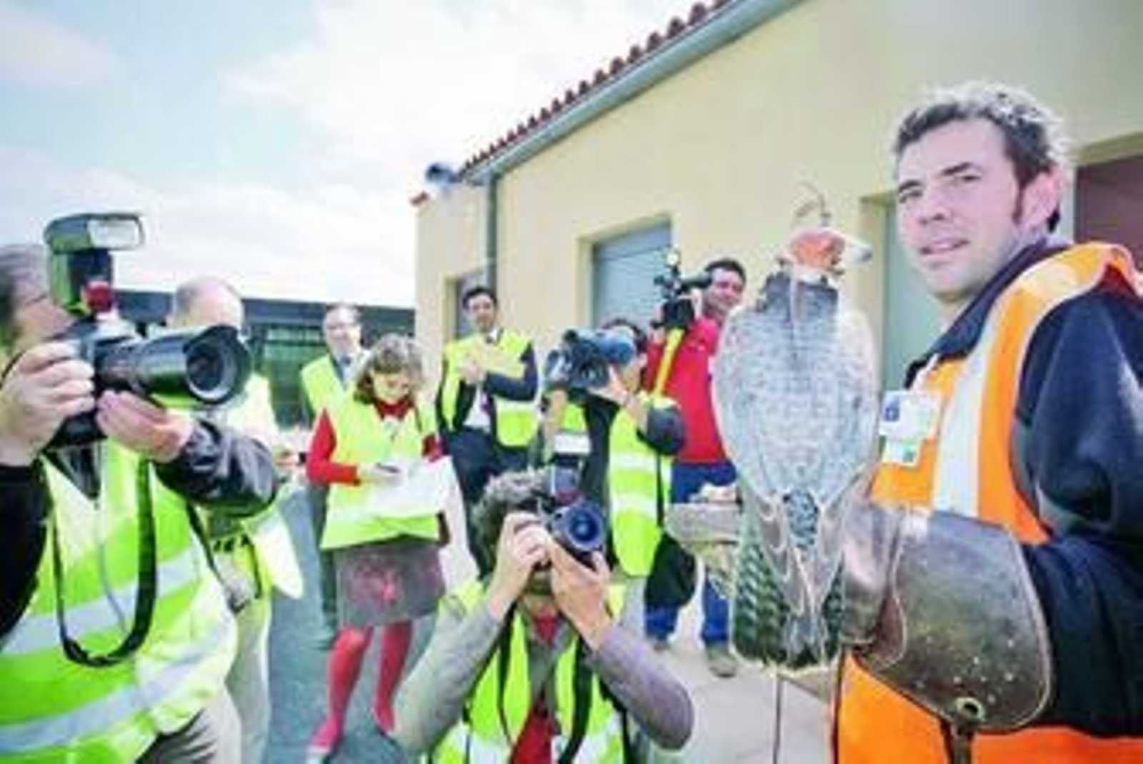 El criador Antonio Ramírez junto a uno de los ejemplares. El criador Antonio Ramírez junto a uno de los ejemplares.