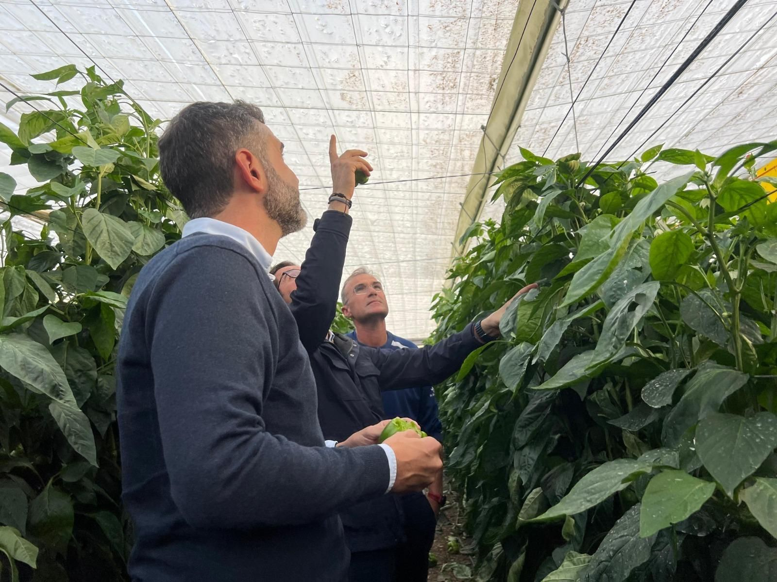 El consejero visita invernaderos de El Ejido tras la DANA.