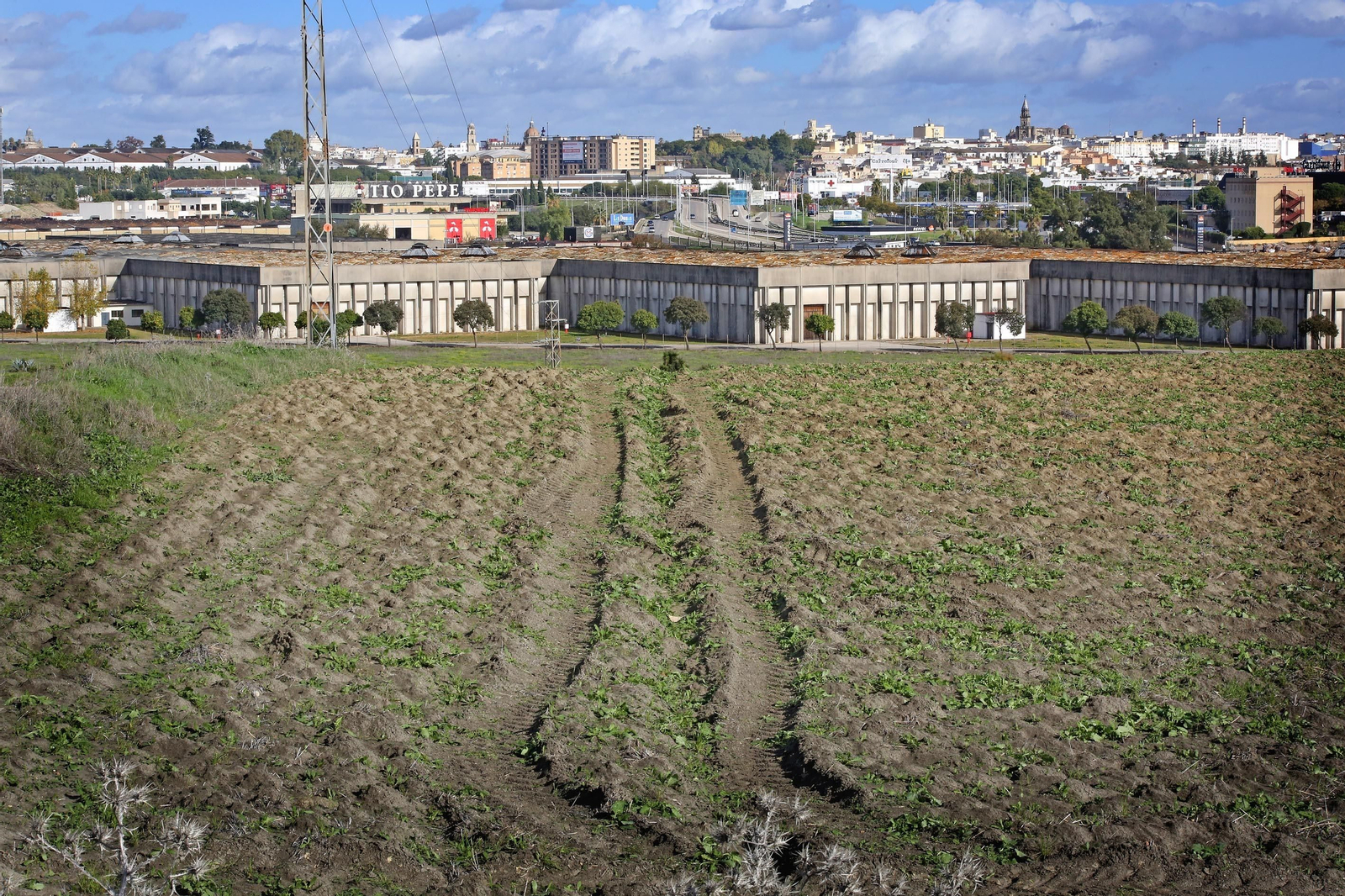 Terrenos que pretenden desarrollarse a espaladas de Williams & Humbert.