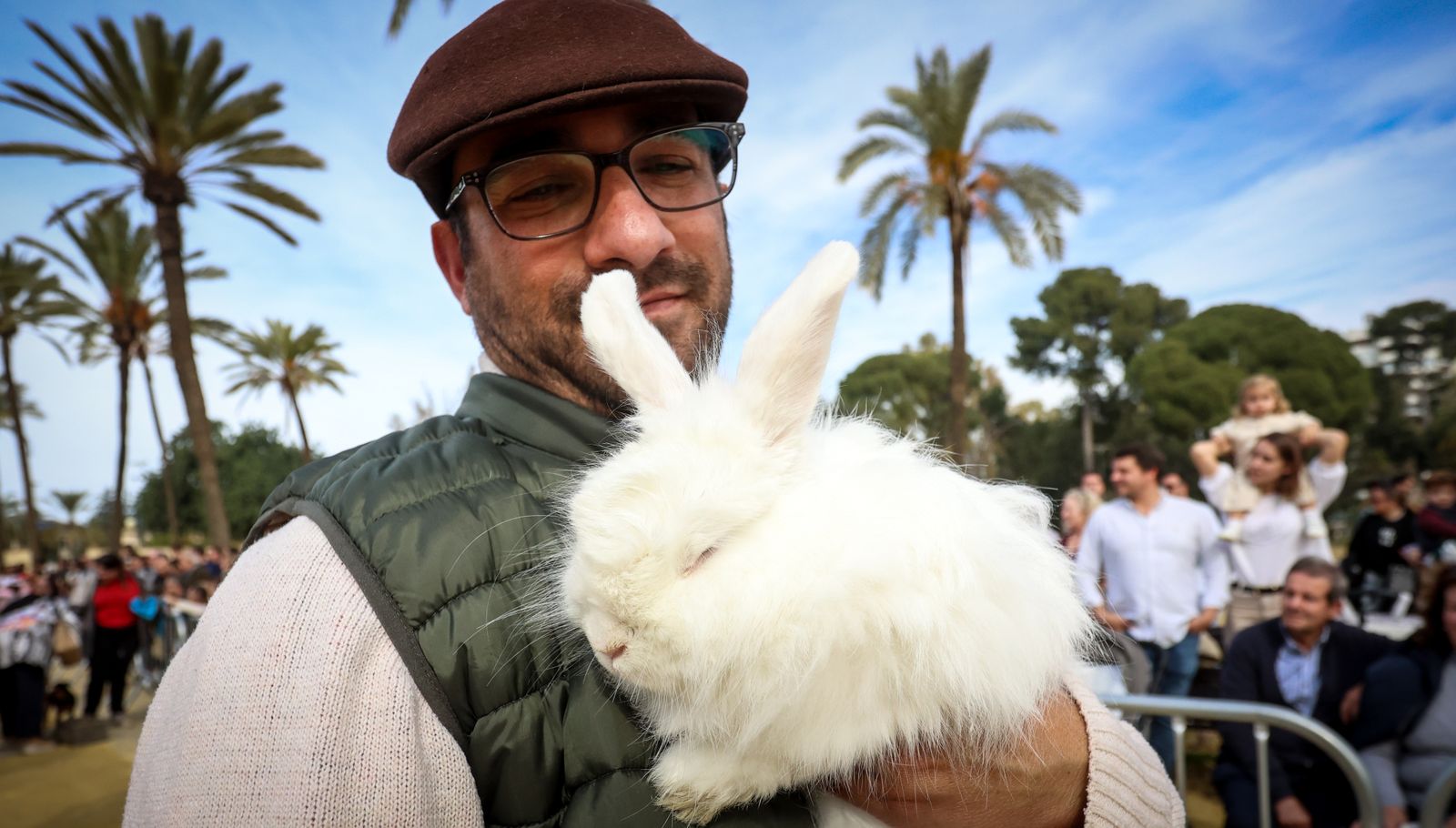 Fiesta de san Antón 2024 en Jerez