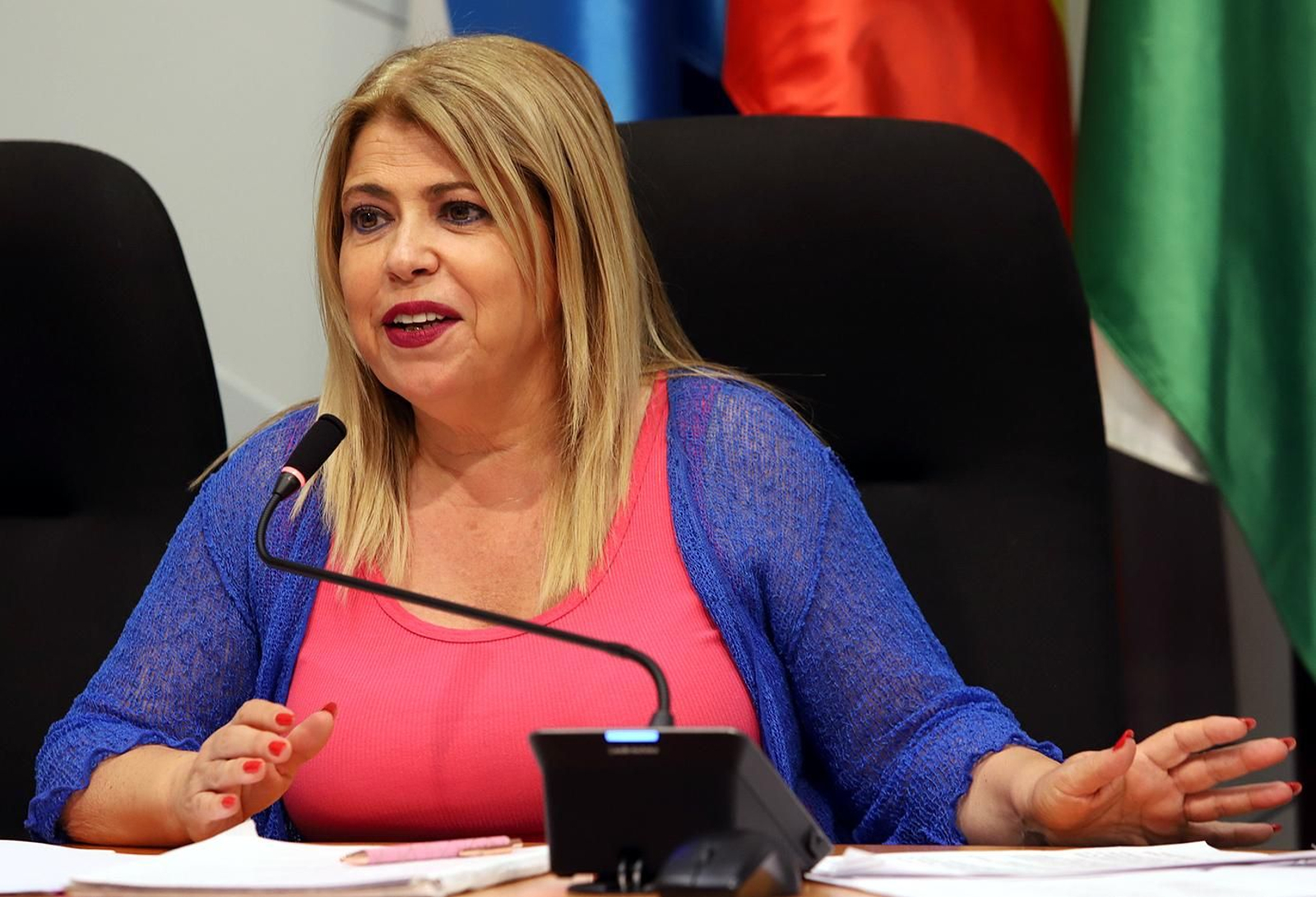 Mamen Sánchez, anunciando el proyecto para impulsar el Barrio de Santiago.