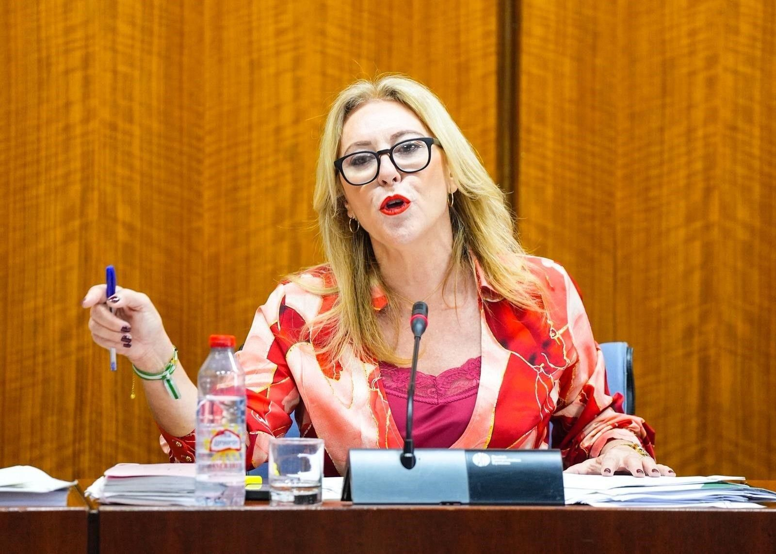 La consejera de Hacienda de la Junta, Carolina España, durante una compararencia parlamentaria.