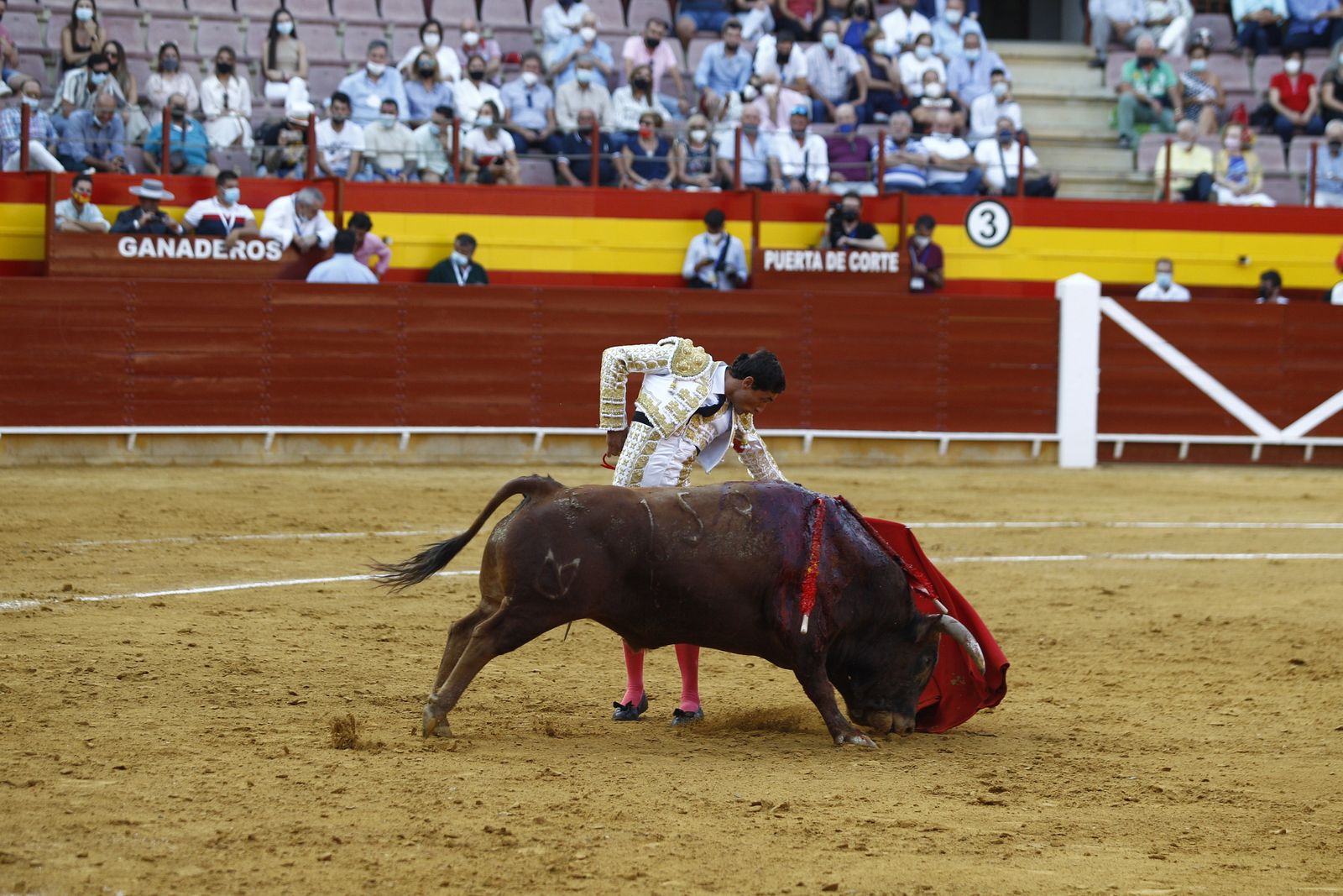Fotogalería corrida de toros. Cayetano Rivera, Paco Ureña y Roca Rey. Roquetas de Mar.