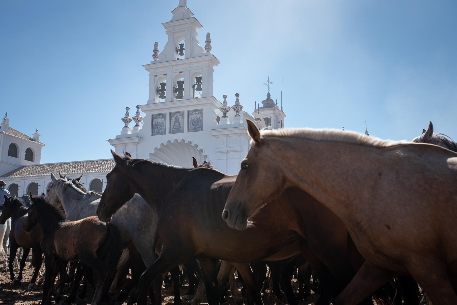 Imágenes de la Saca de las Yeguas a su paso por El Rocío