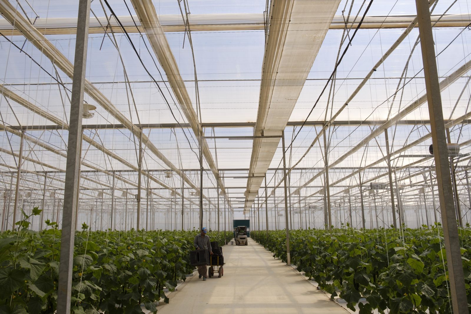 Los invernaderos solares del sur de Europa, claro ejemplo de sostenibilidad social y distribución equitativa de la riqueza