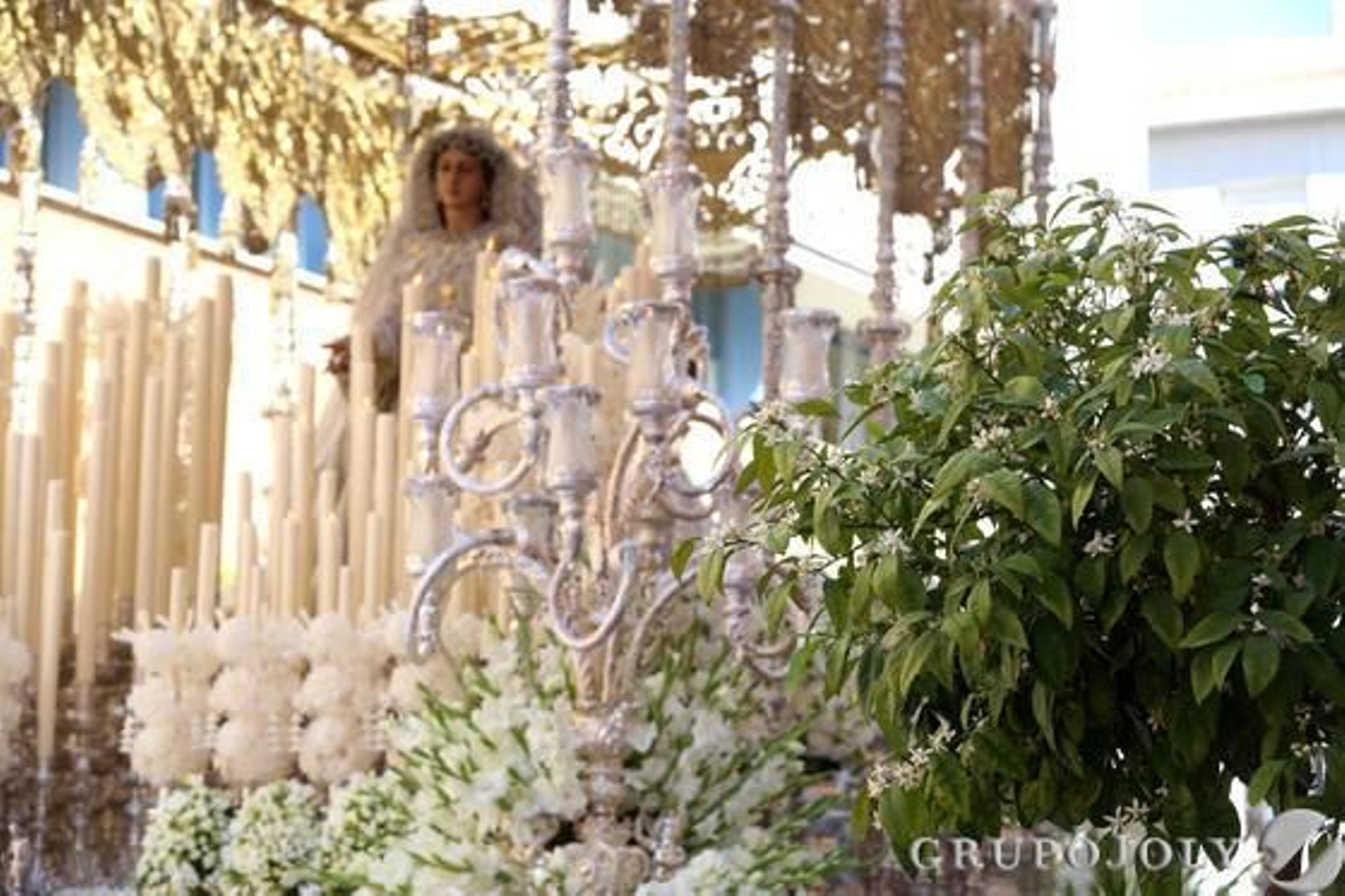 Rocío

Foto: LM Lopez Pozo