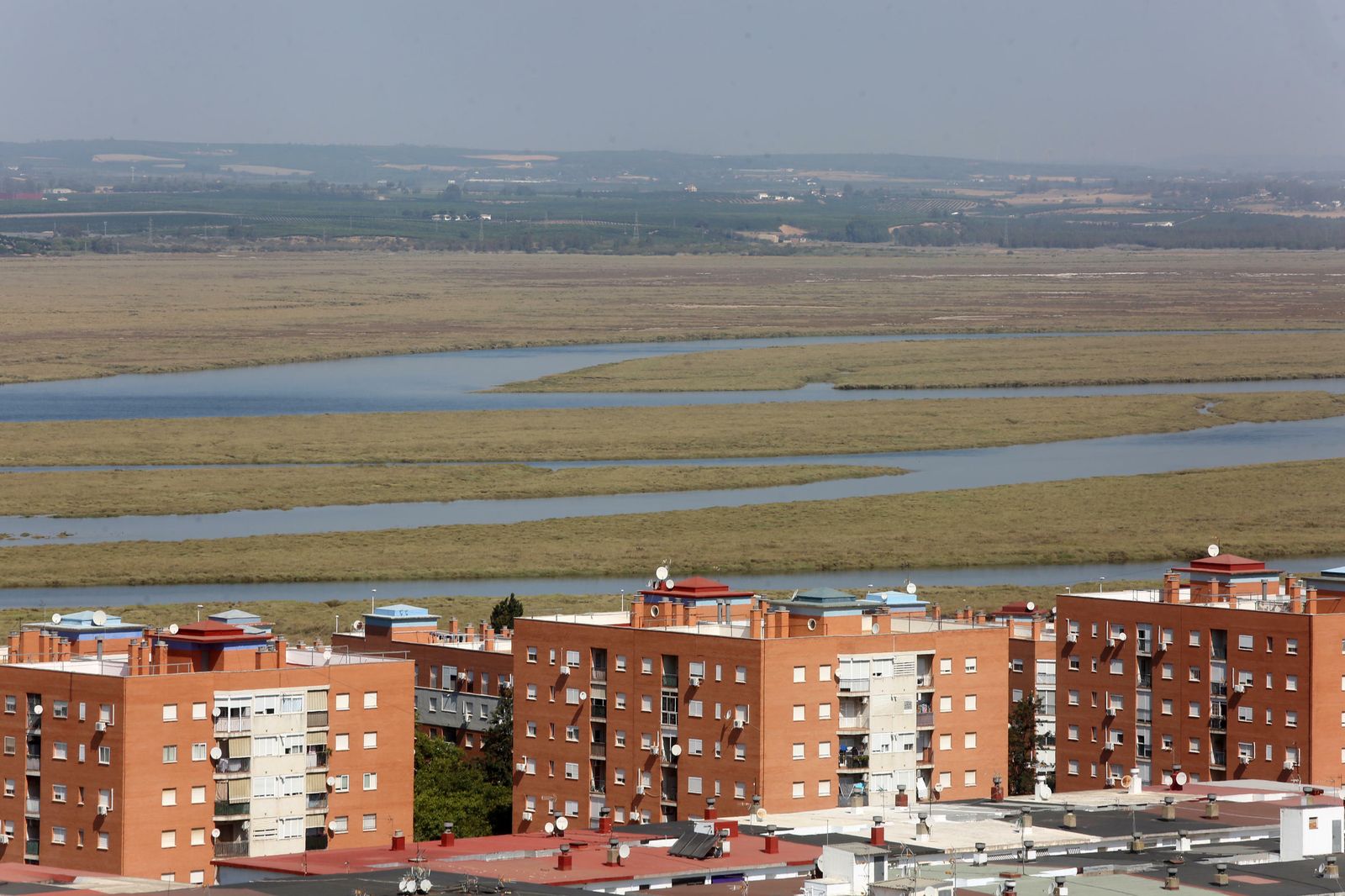 Las Marismas del Odiel en el núcleo de Marismas de El Burro, desde el mirador de El Conquero.