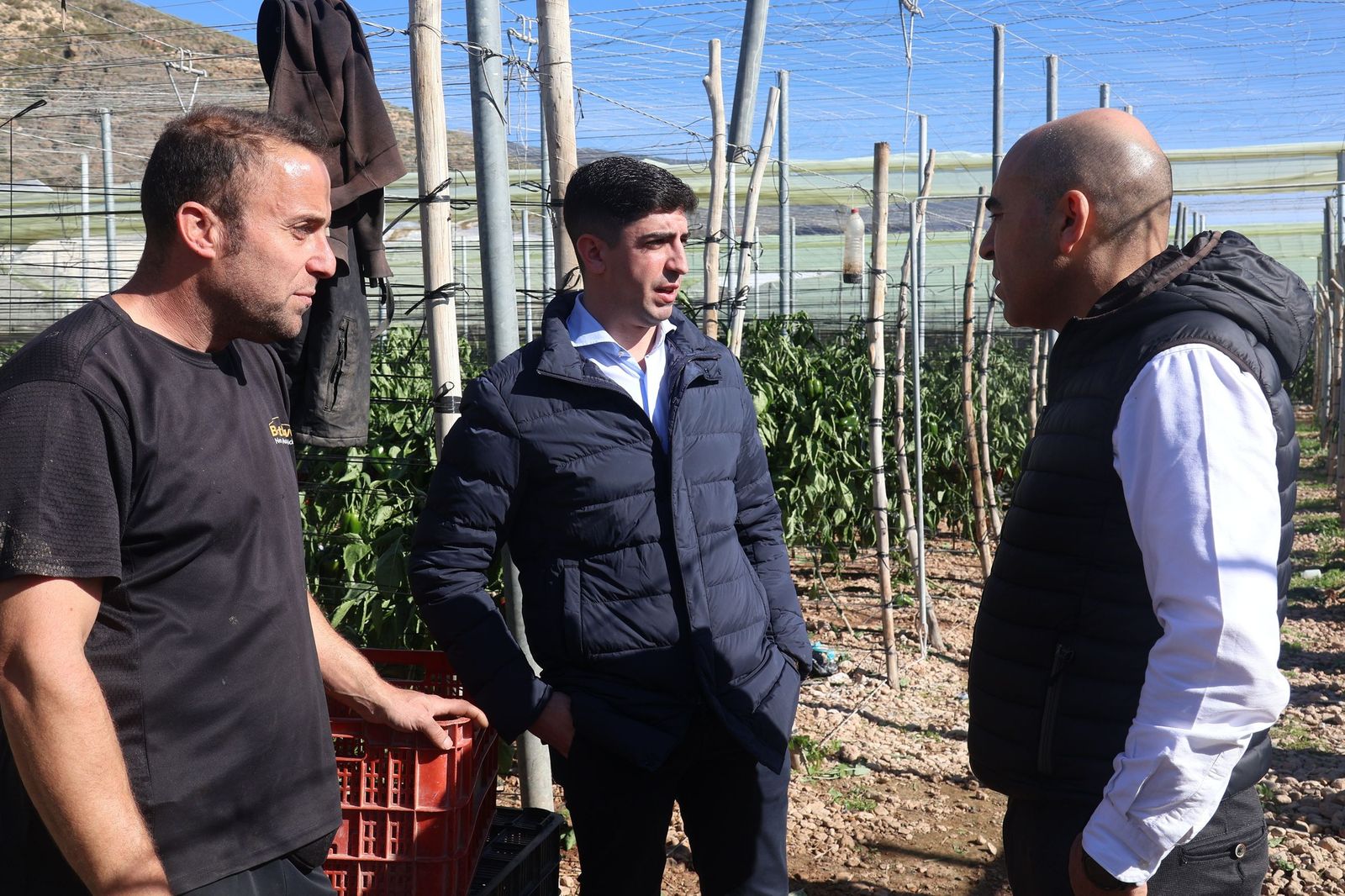 Antonio Mena y Manuel Martínez visitan los invernaderos afectados.