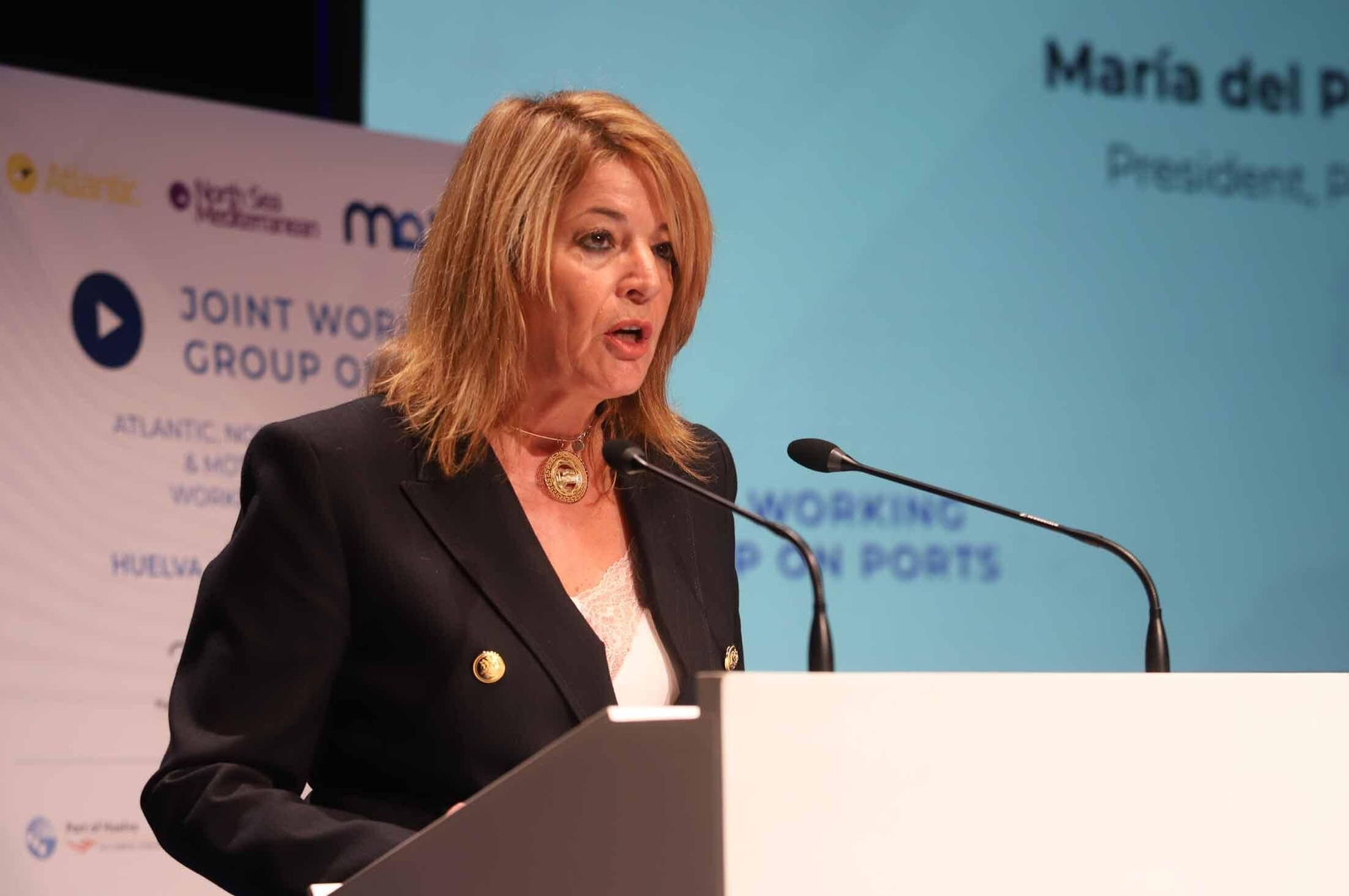 Imágenes de la jornada de los Corredores Europeos Atlántico, Mar del Norte-Mediterráneo y Autopistas del Mar