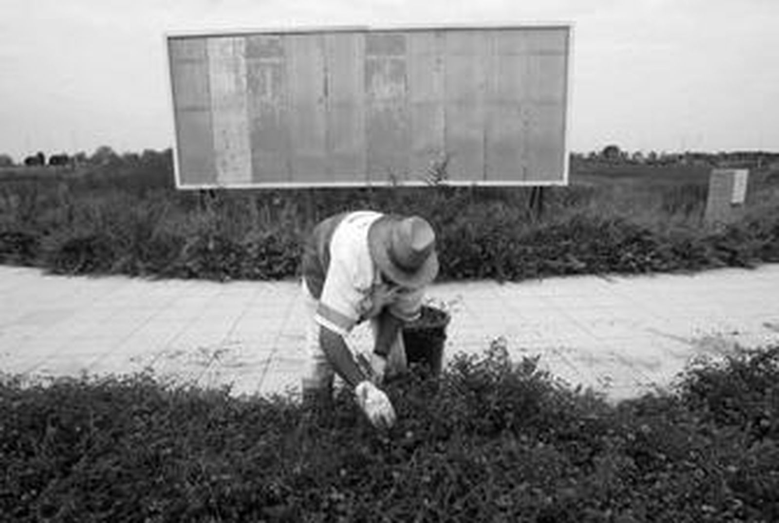 Un operario de Costa Ballena desbroza unas malvas en una parcela de Chipiona sin proyecto que promocionar.