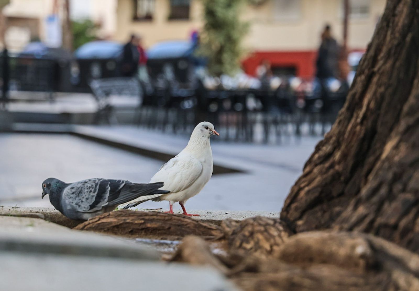 Fotografías de ambiente de frío y lluvia en la ciudad