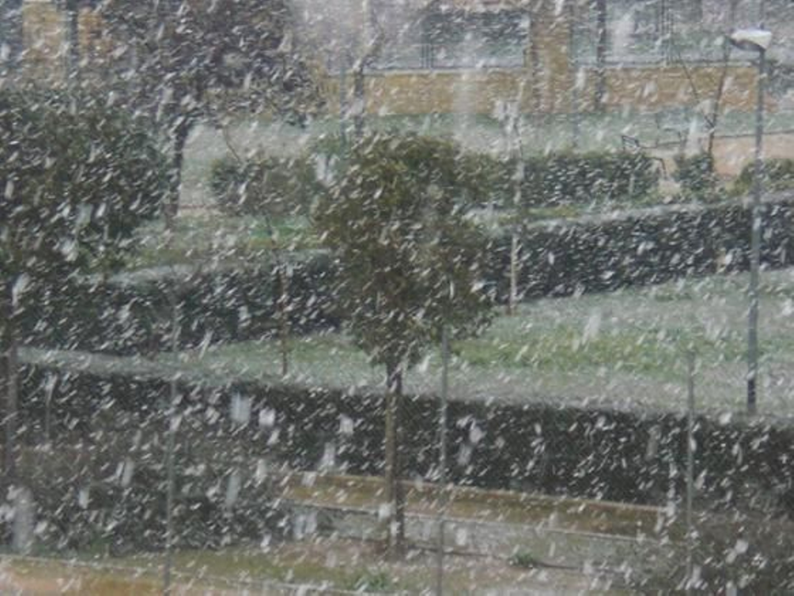 Nevada en Brenes./ Teresa Gómez López